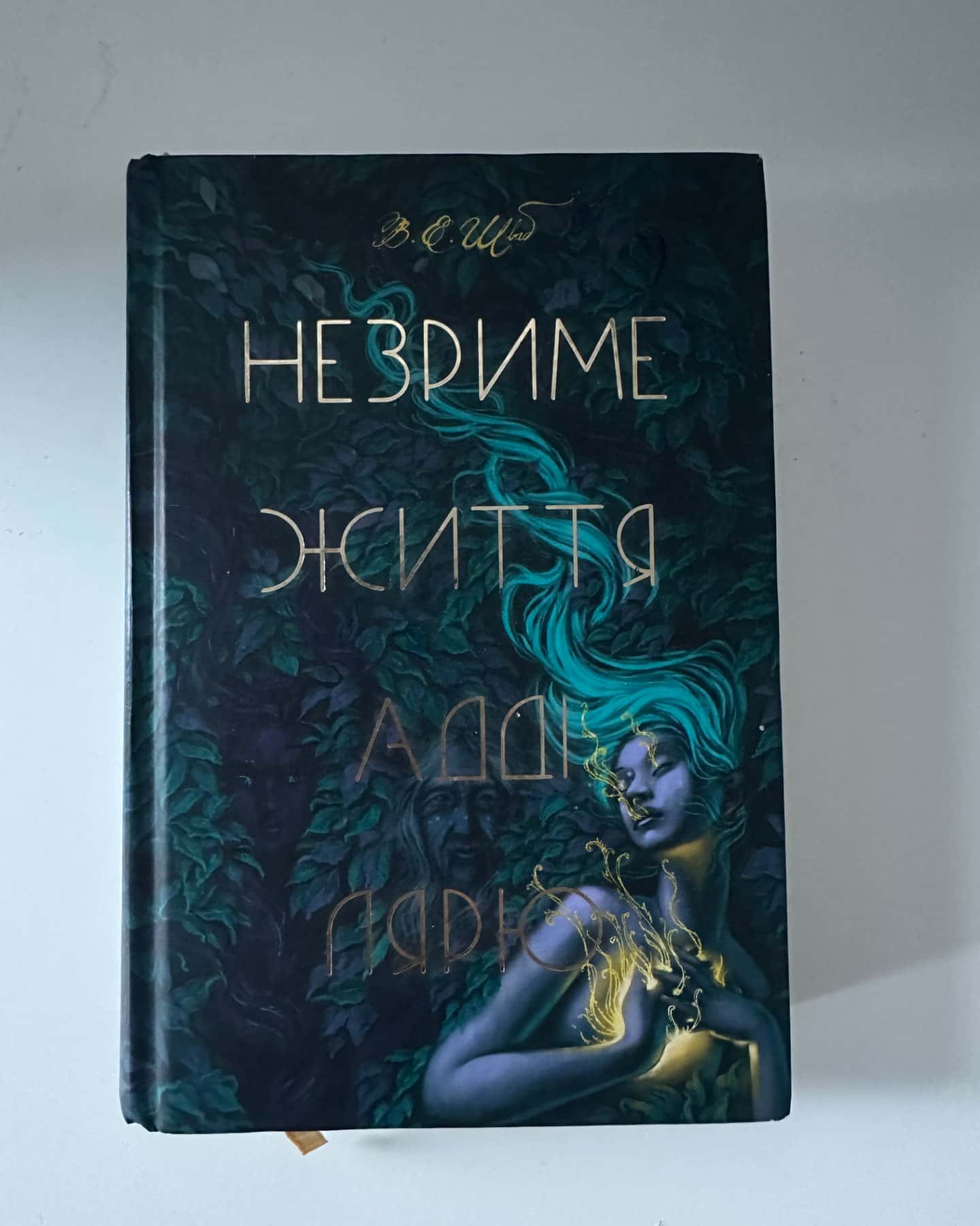 Незриме життя Адді Лярю-Вікторія Шваб