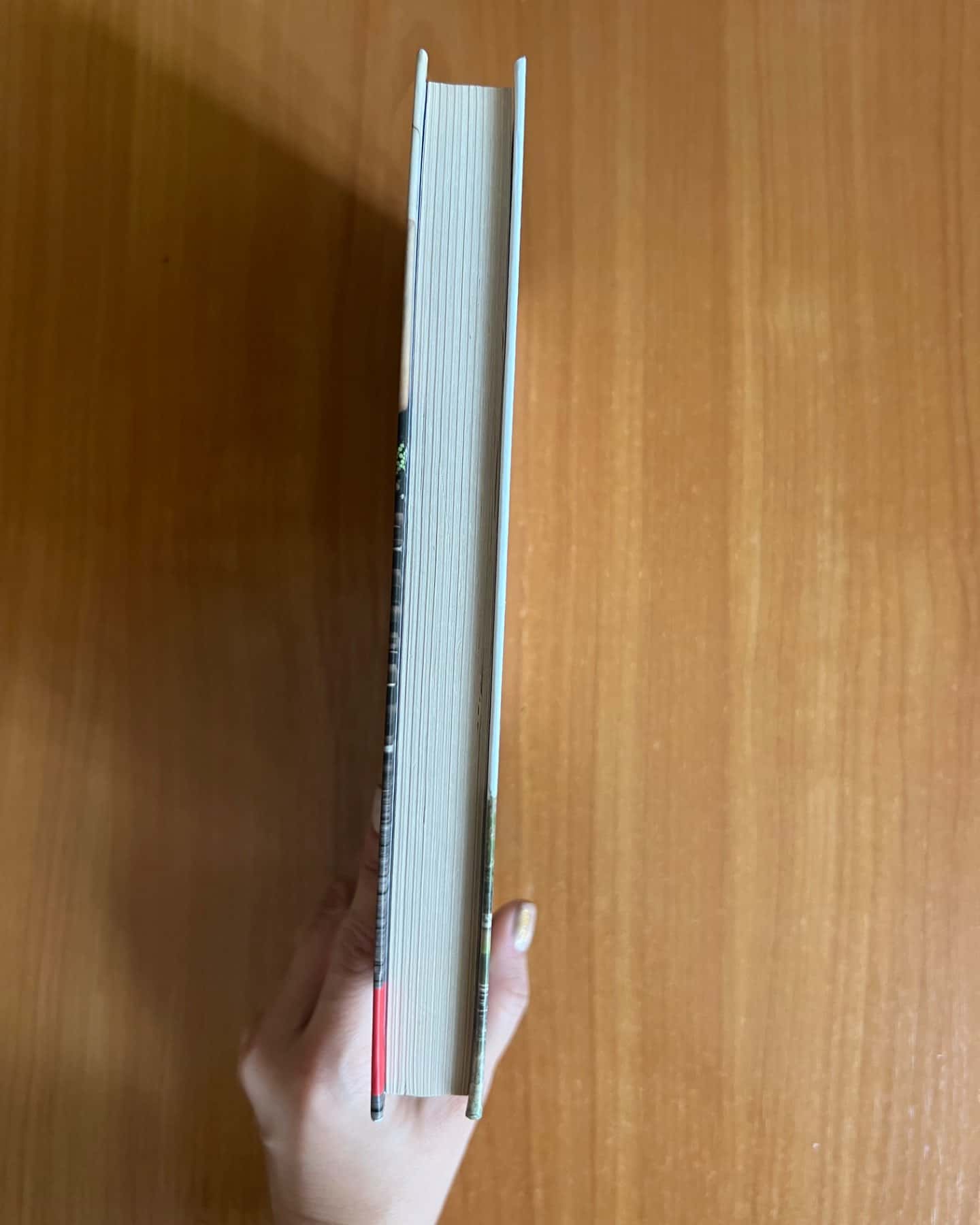 Соло для Соломії-Володимир Лис