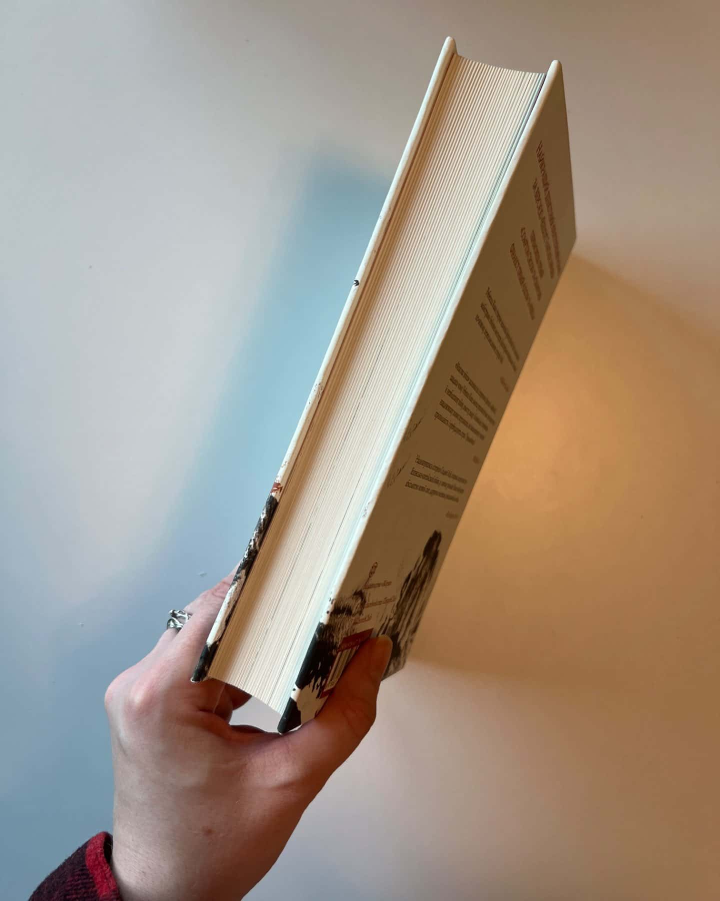 Макова війна. Книга 1-Ребекка Кван