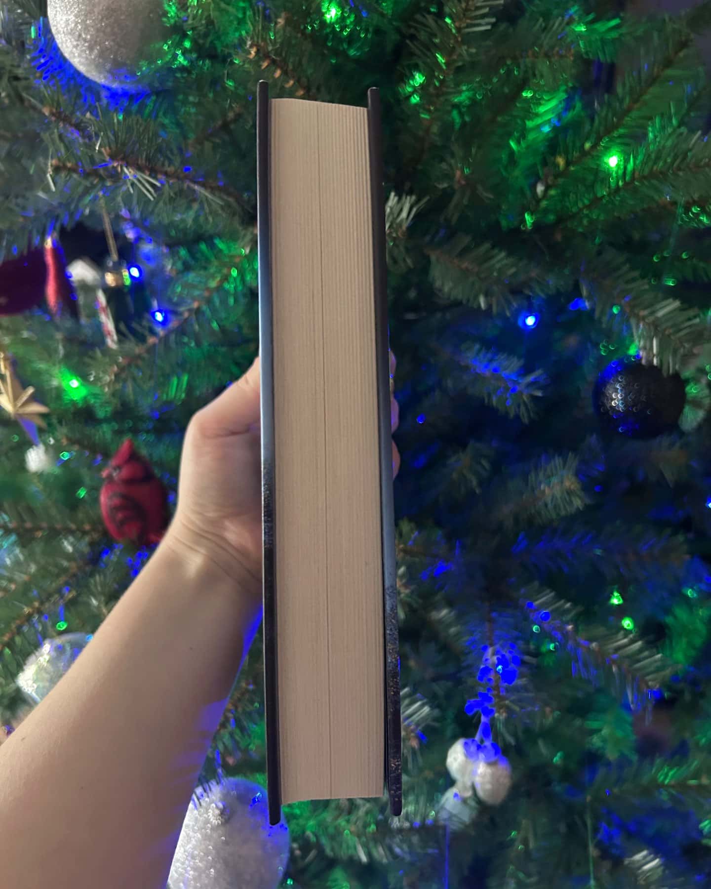 Не та сестра-Клер Дуглас