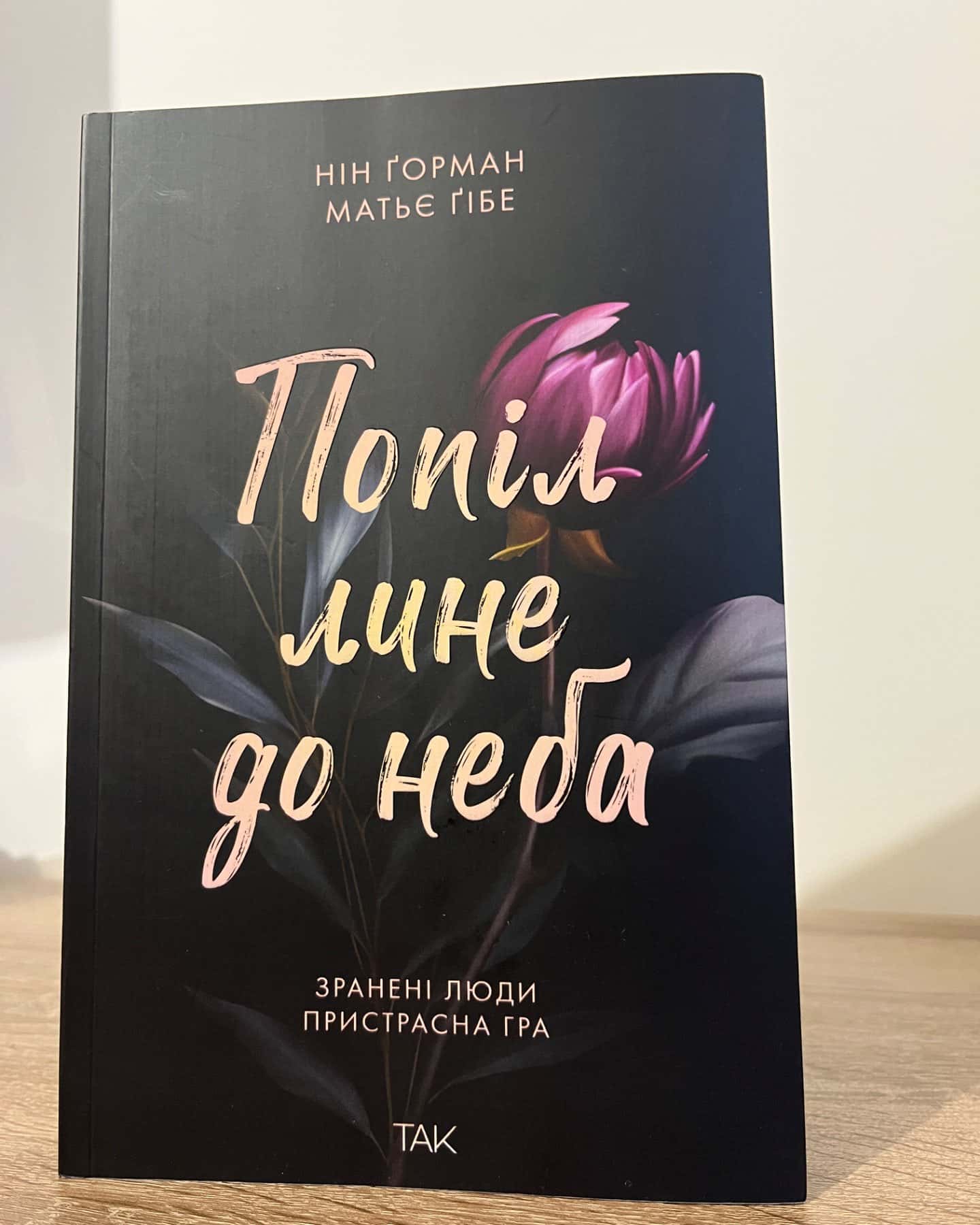 Попіл лине до неба. Том 1-Матьє Ґібе, Нін Ґорман