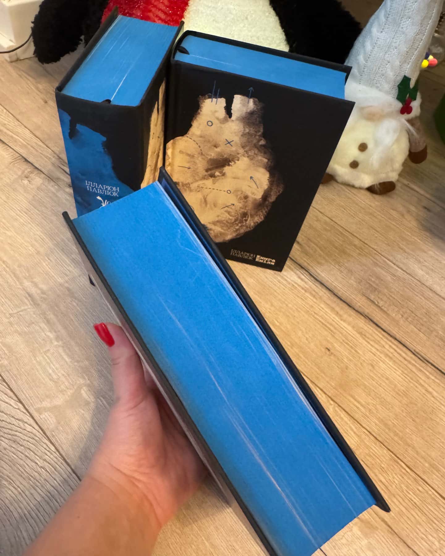 Книга Еміля-Ілларіон Павлюк