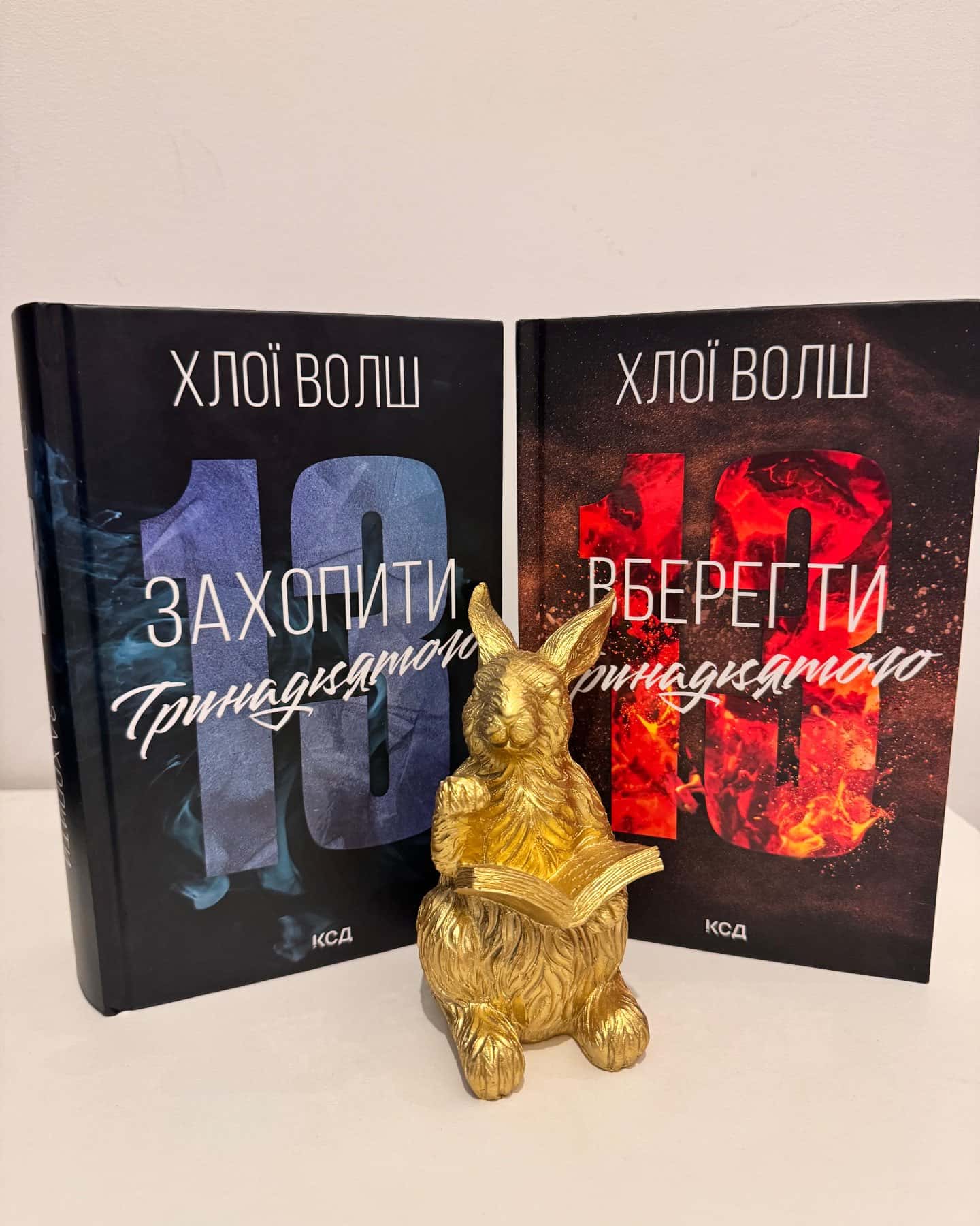 Захопити Тринадцятого. Книга 1, Вберегти Тринадцятого. Книга 2-Хлої Волш