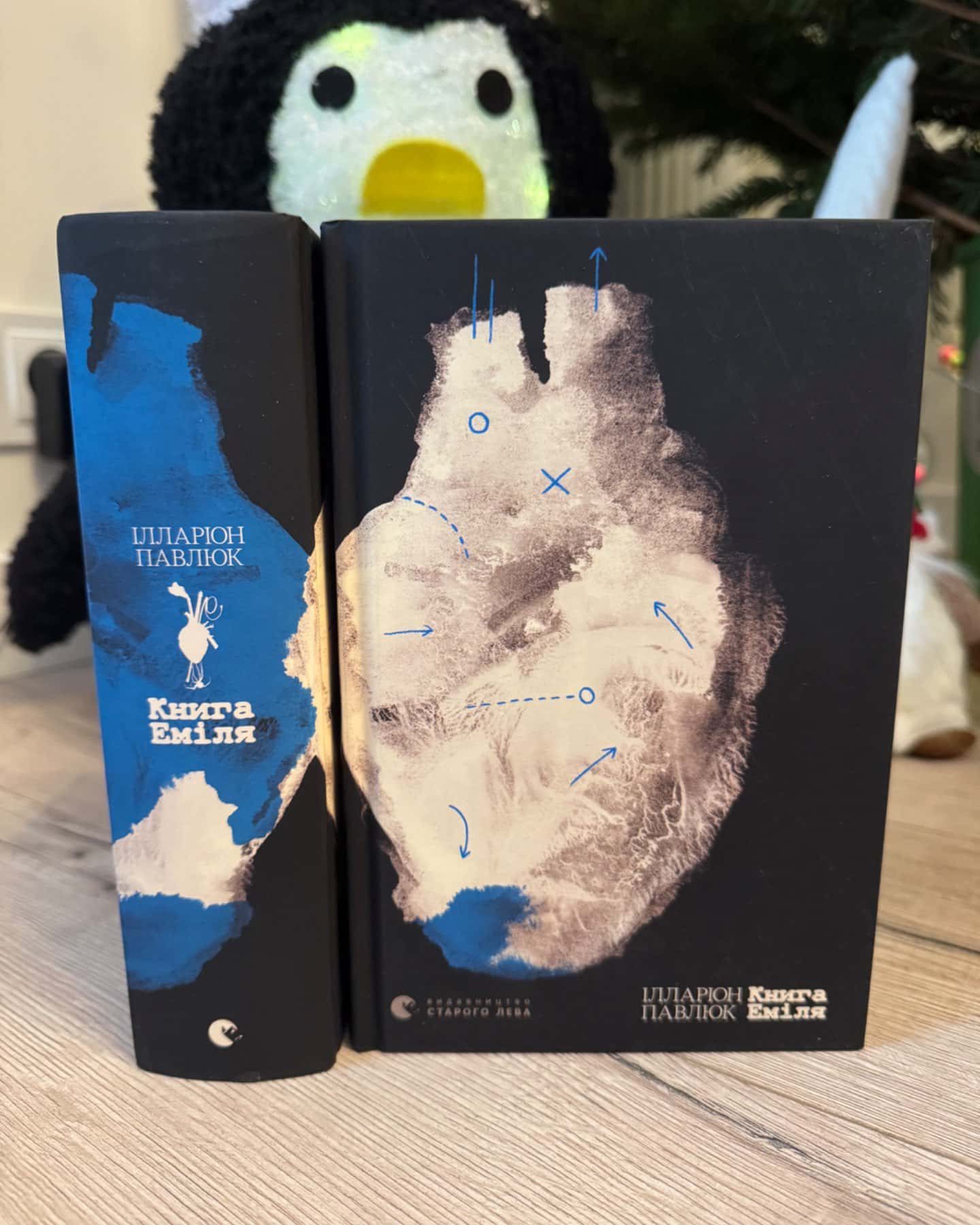 Книга Еміля-Ілларіон Павлюк