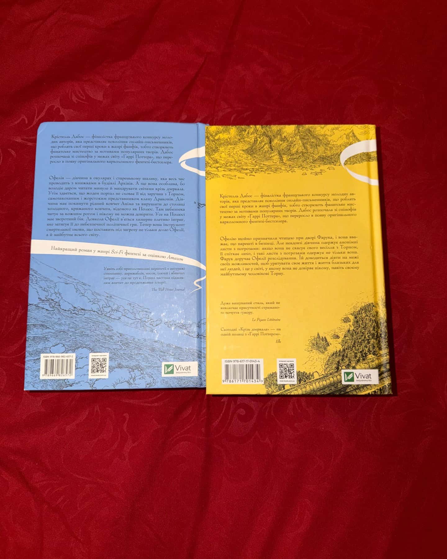 Крізь дзеркала. Зимові заручини, Книга Крізь дзеркала. Викрадені з Місяцесяйва — Крістель Дабос
