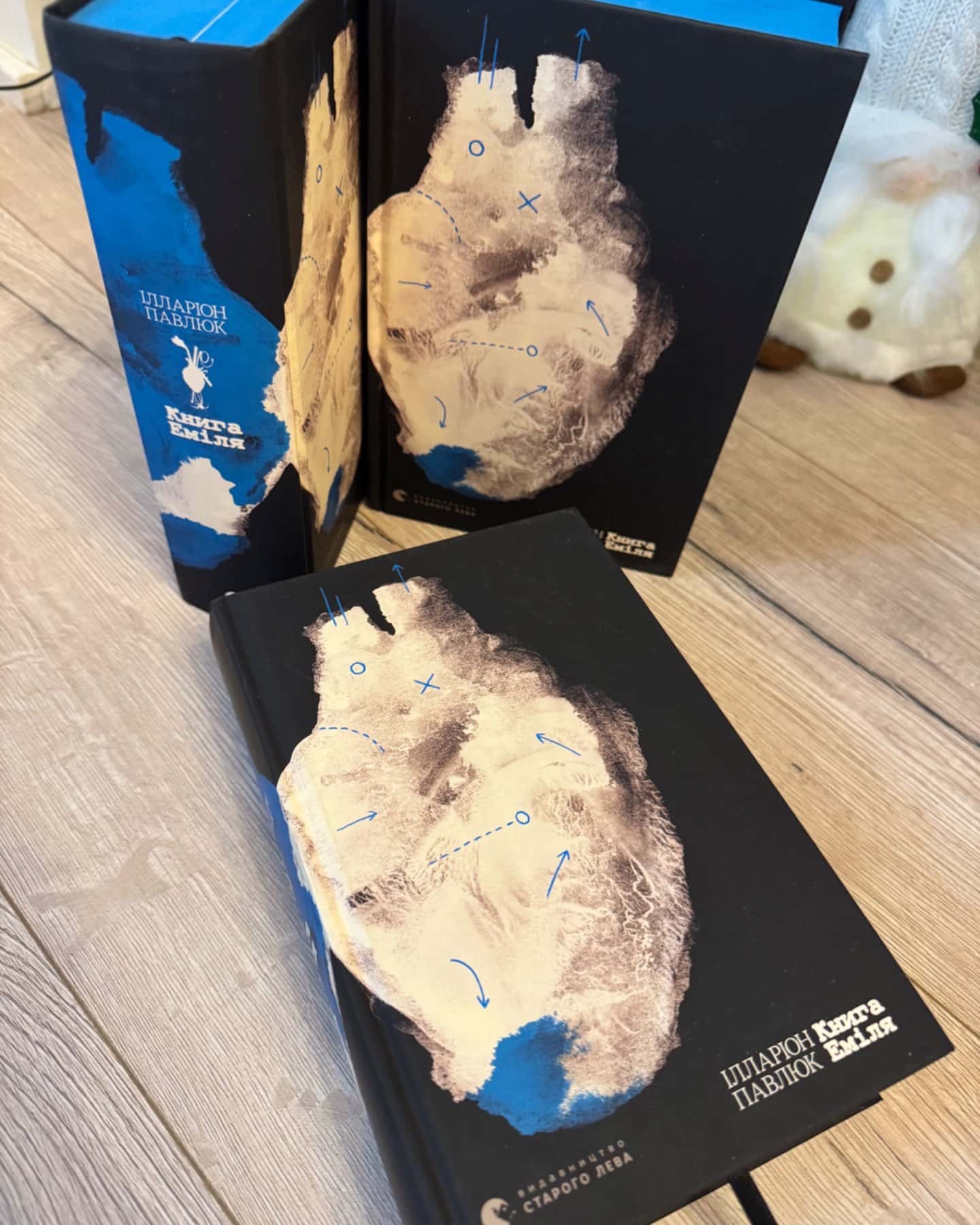 Книга Еміля-Ілларіон Павлюк