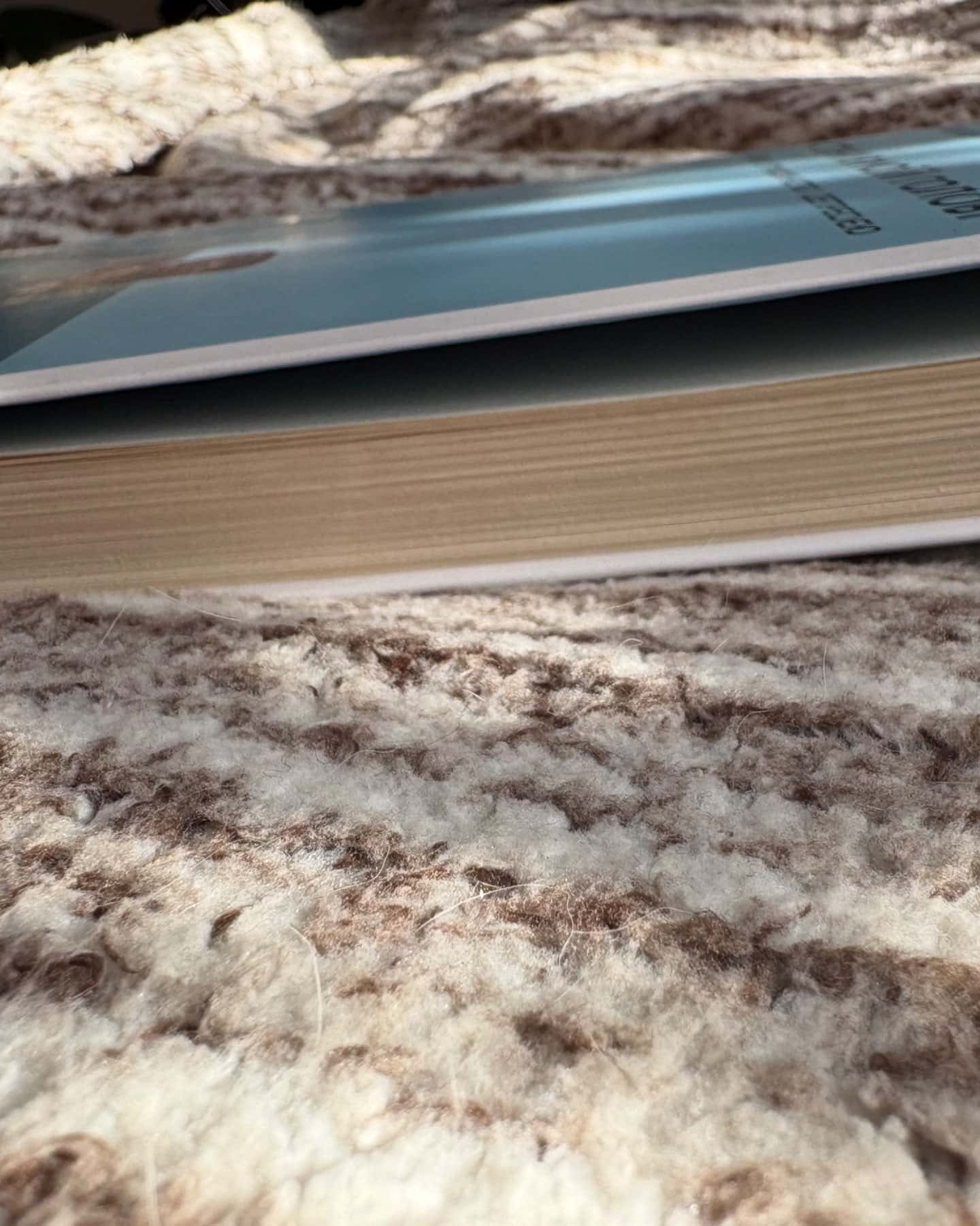 Стіни в моїй голові. Жити з тривожністю і депресією-Володимир Станчишин