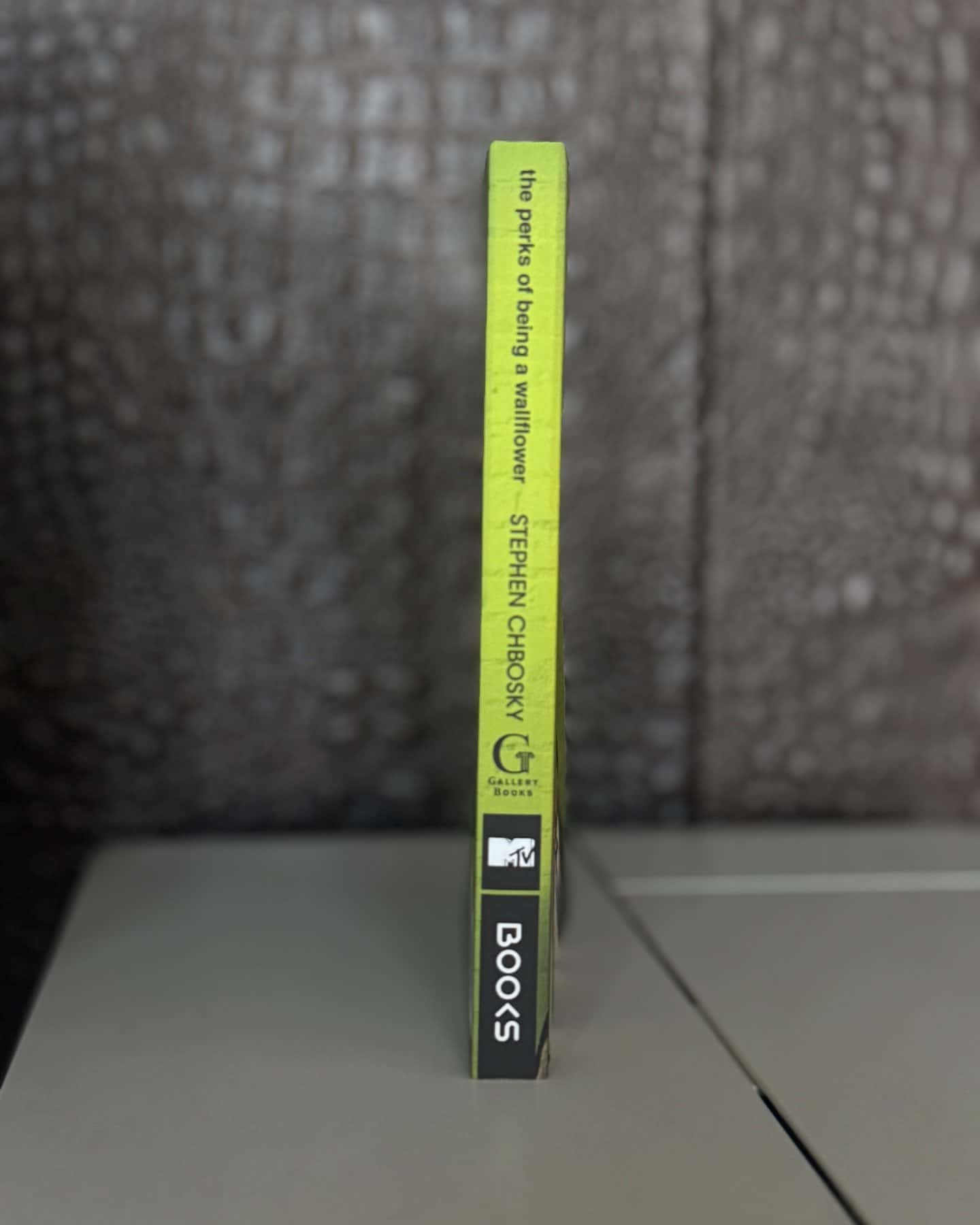 The Perks of Being a Wallflower — Stephen Chbosky