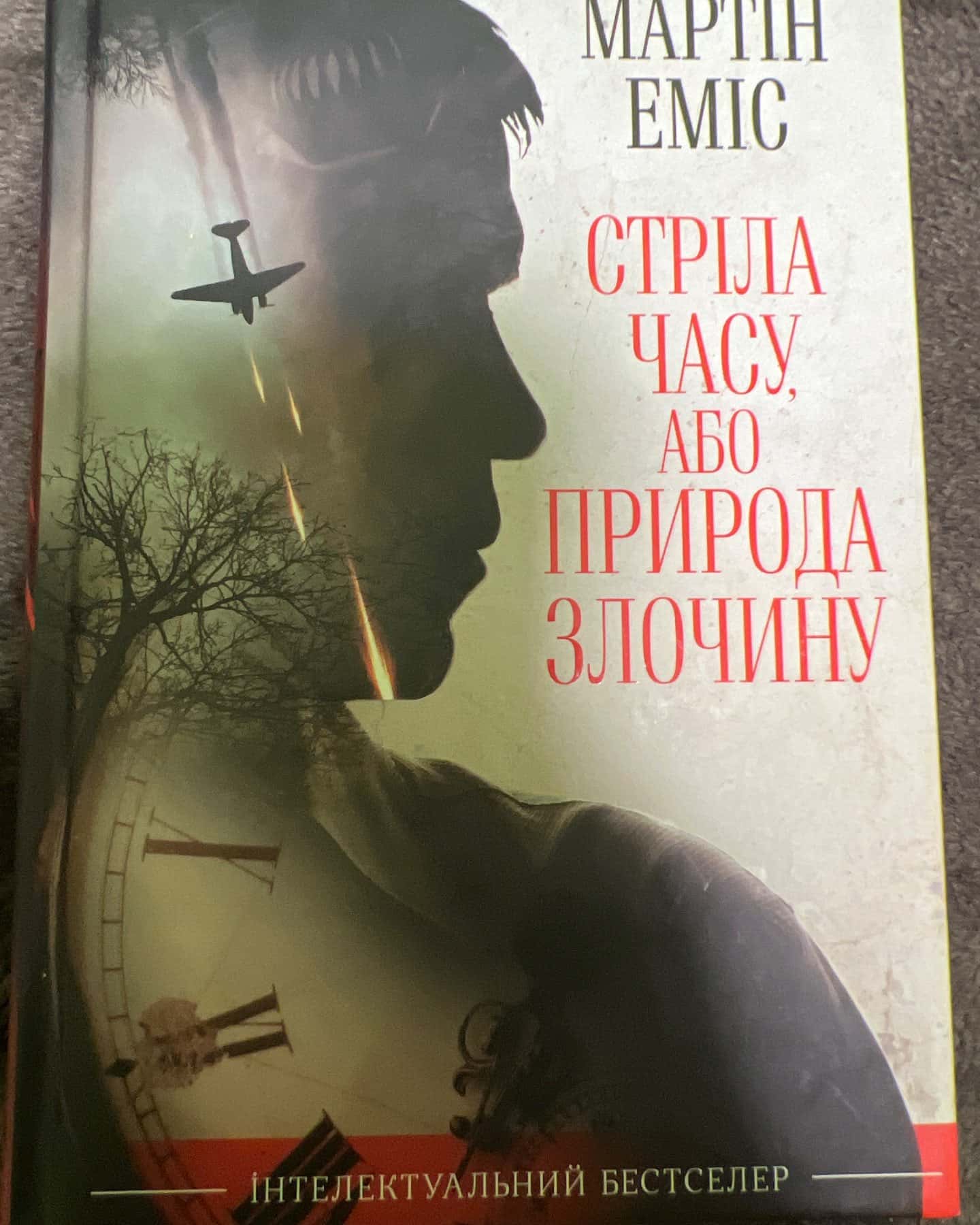 Стріла часу, або Природа злочину — Мартін Еміс