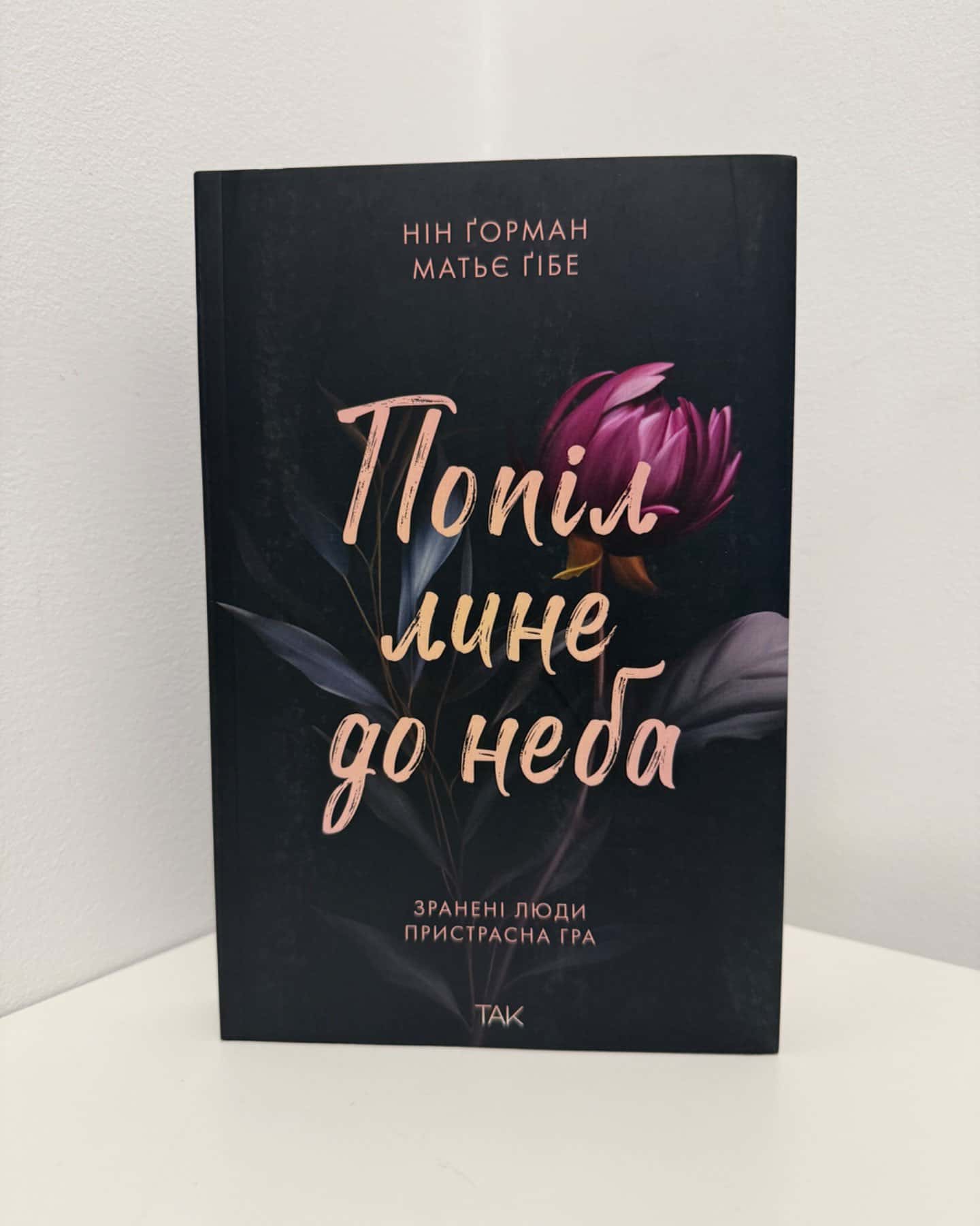 Попіл лине до неба. Том 1-Матьє Ґібе, Нін Ґорман