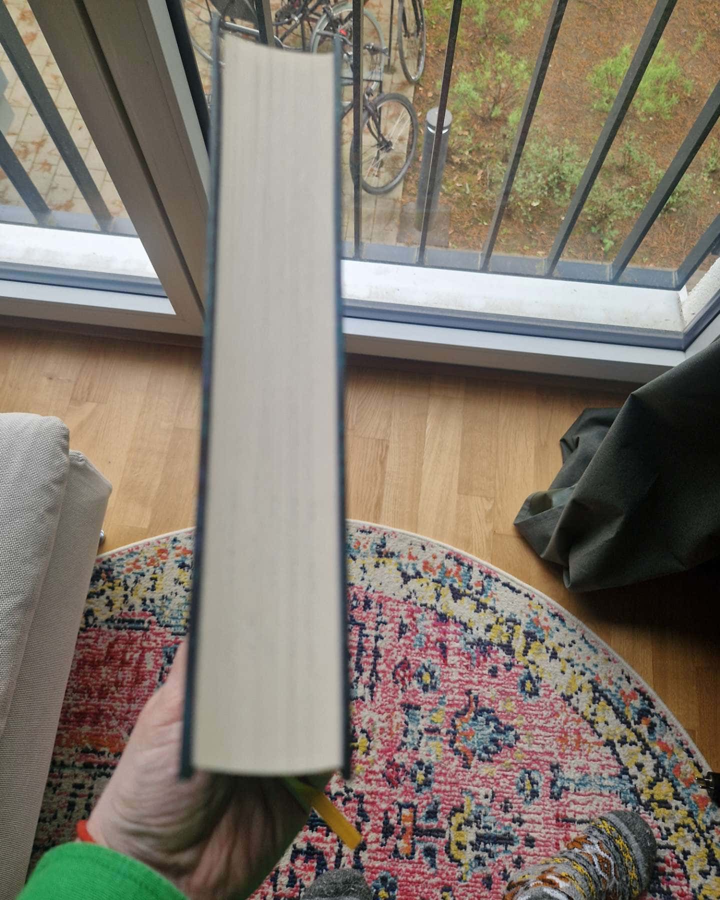 Незриме життя Адді Лярю-Вікторія Шваб