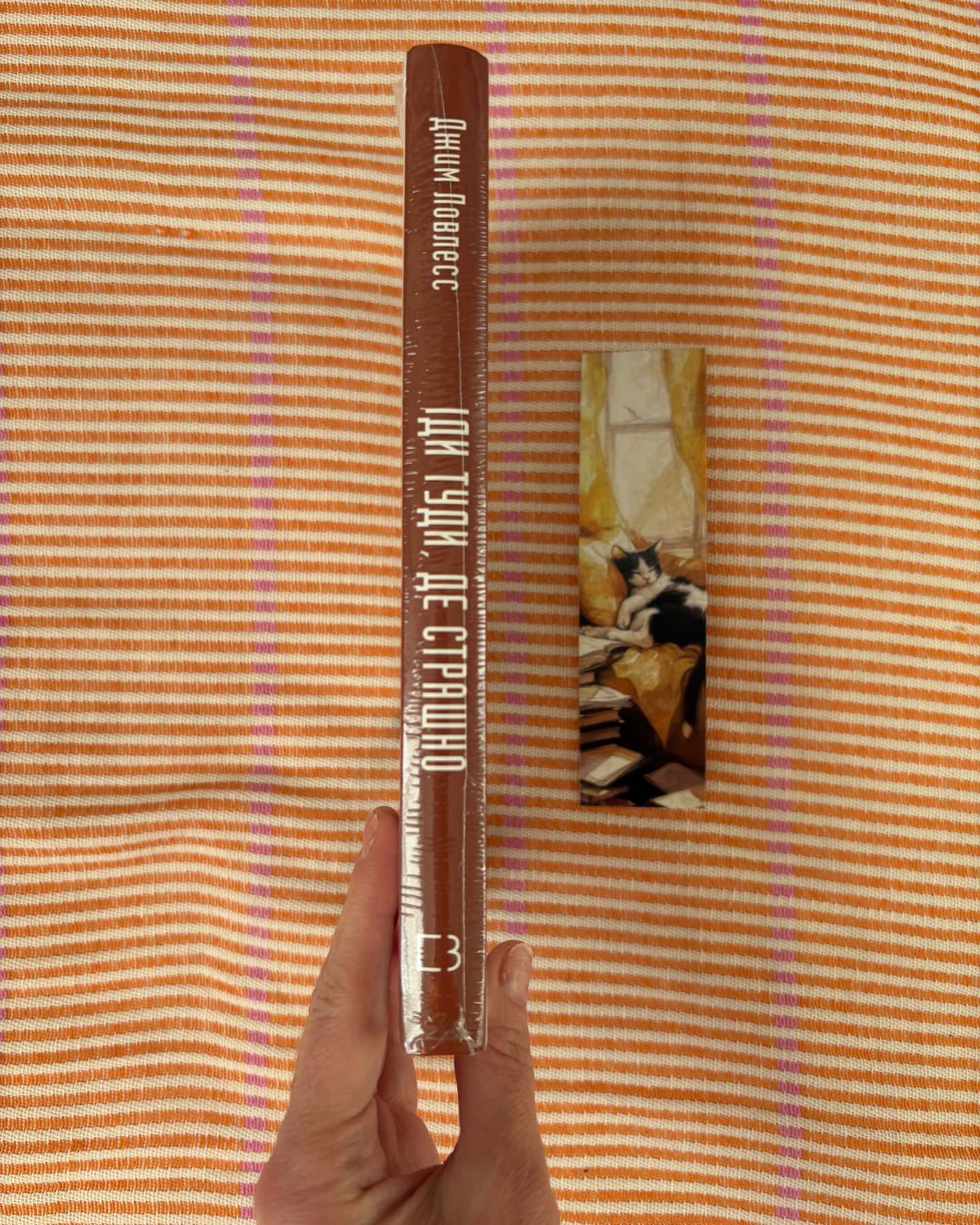 Іди туди, де страшно. І отримаєш те, про що мрієш-Джим Лоулесс