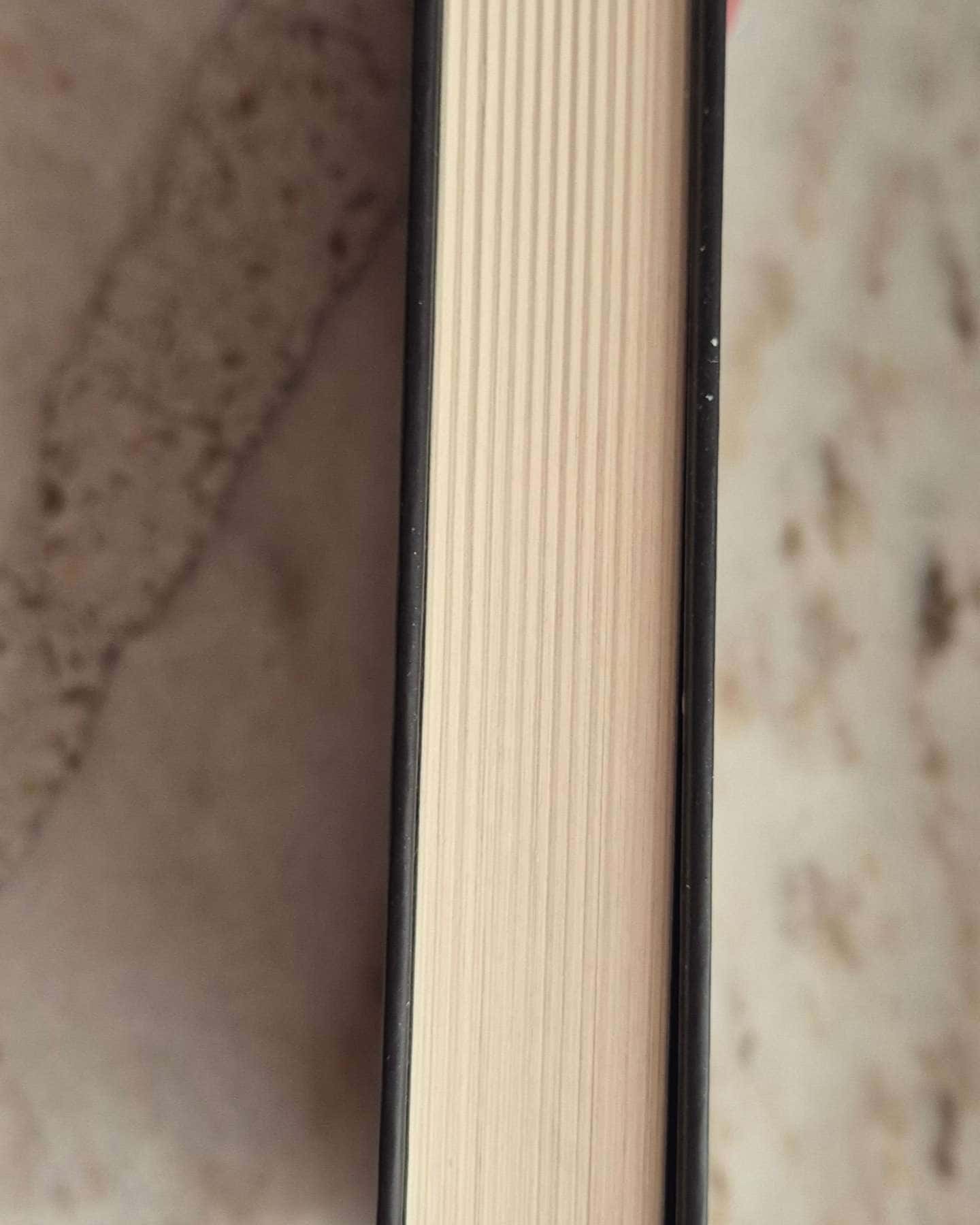 Палітурник-Бріджит Коллінз