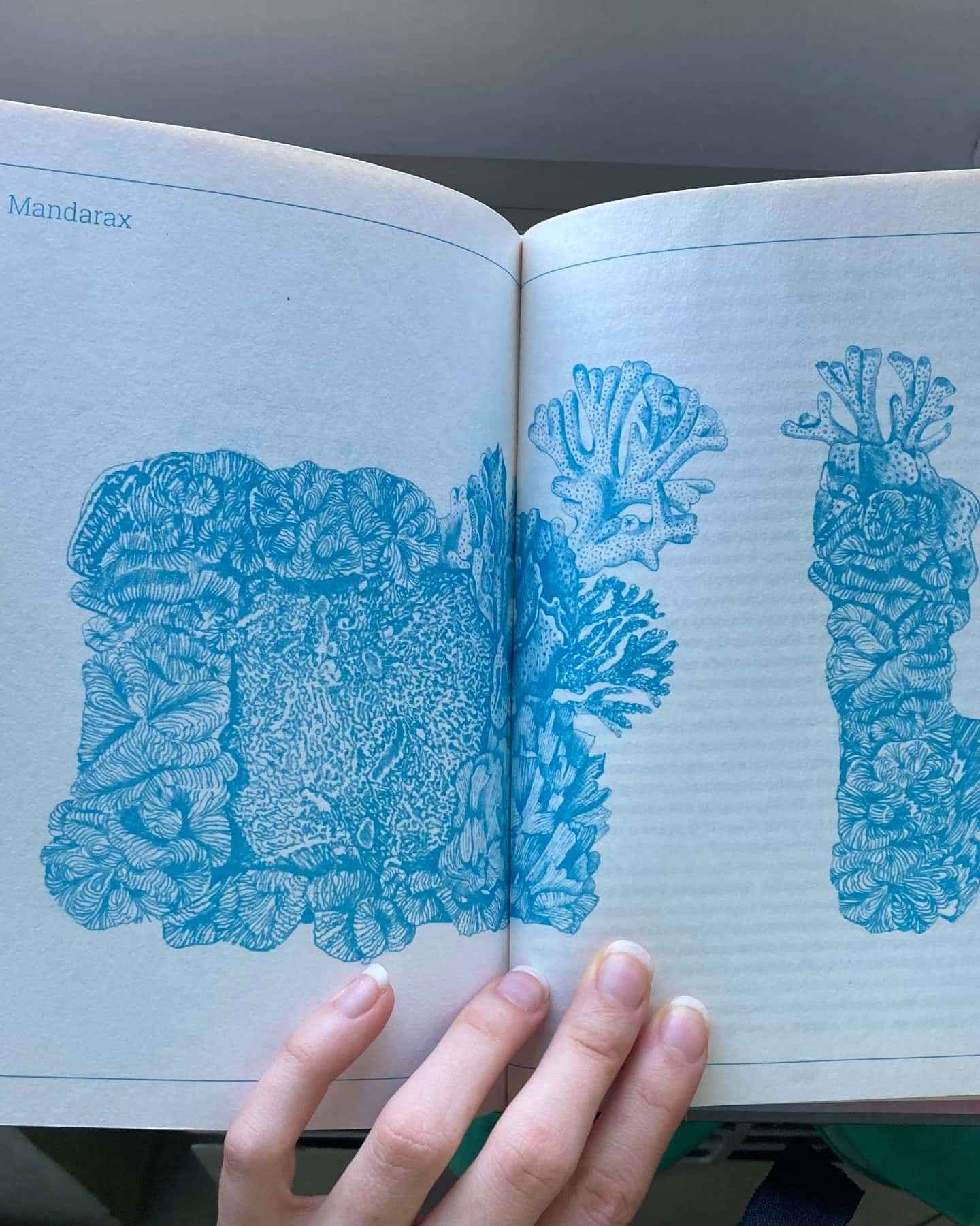 Ґалапаґос-Курт Воннеґут