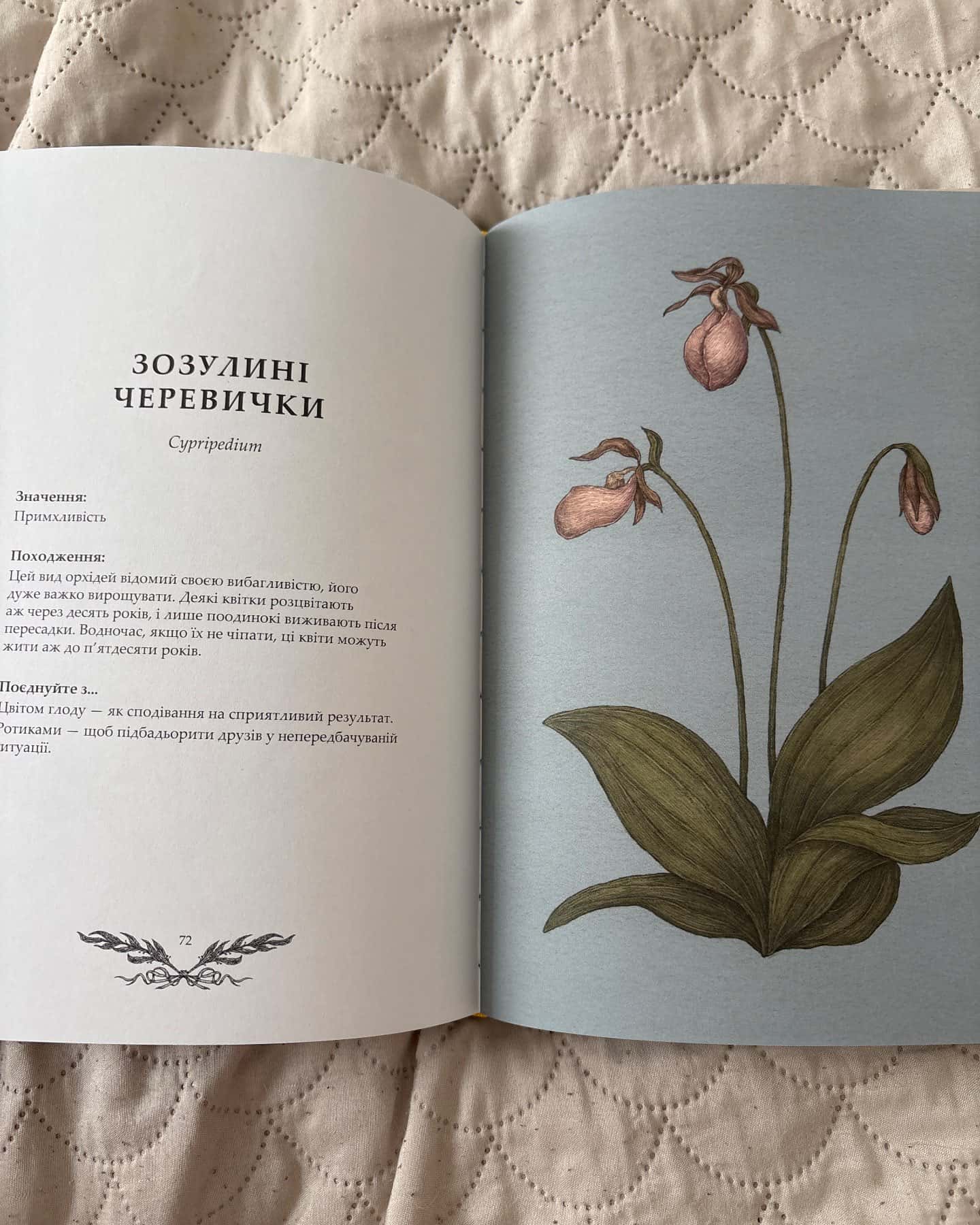 Флорографія. Ілюстрований довідник з вікторіанської мови квітів — Джессіка Ру