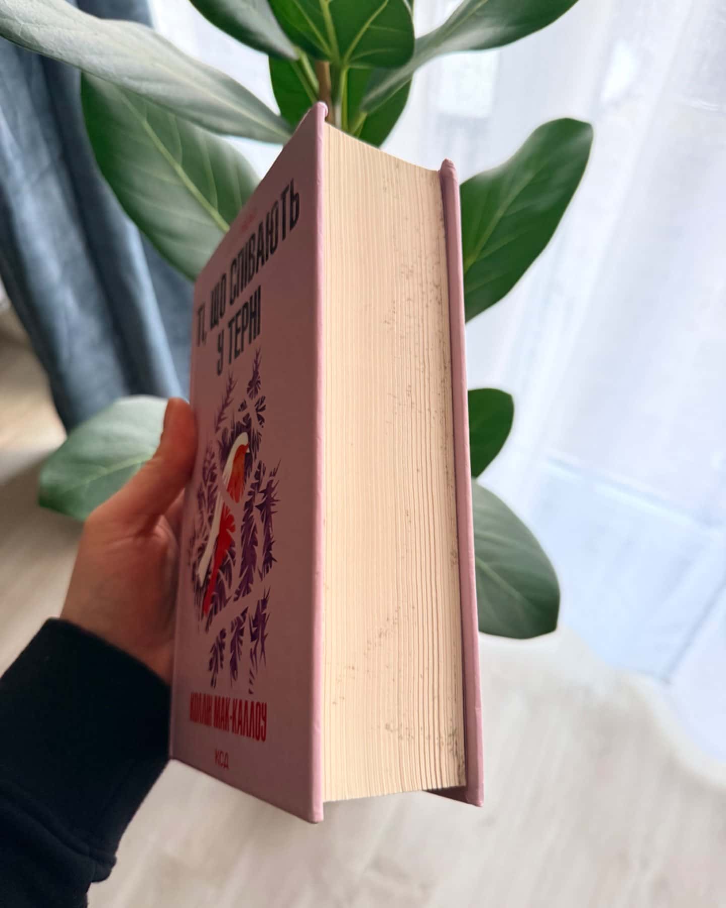 Т, що співаю у терні-Коллін Мак-Каллоу