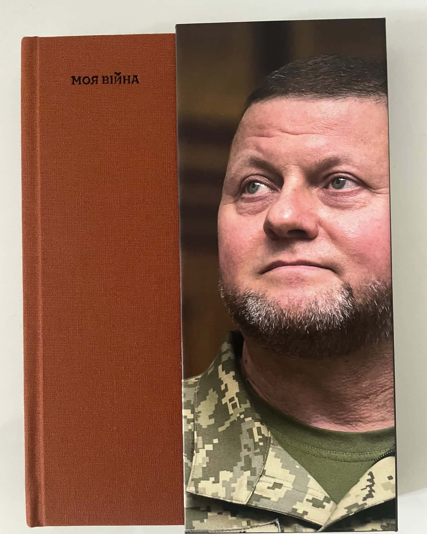 Моя війна-Залужний