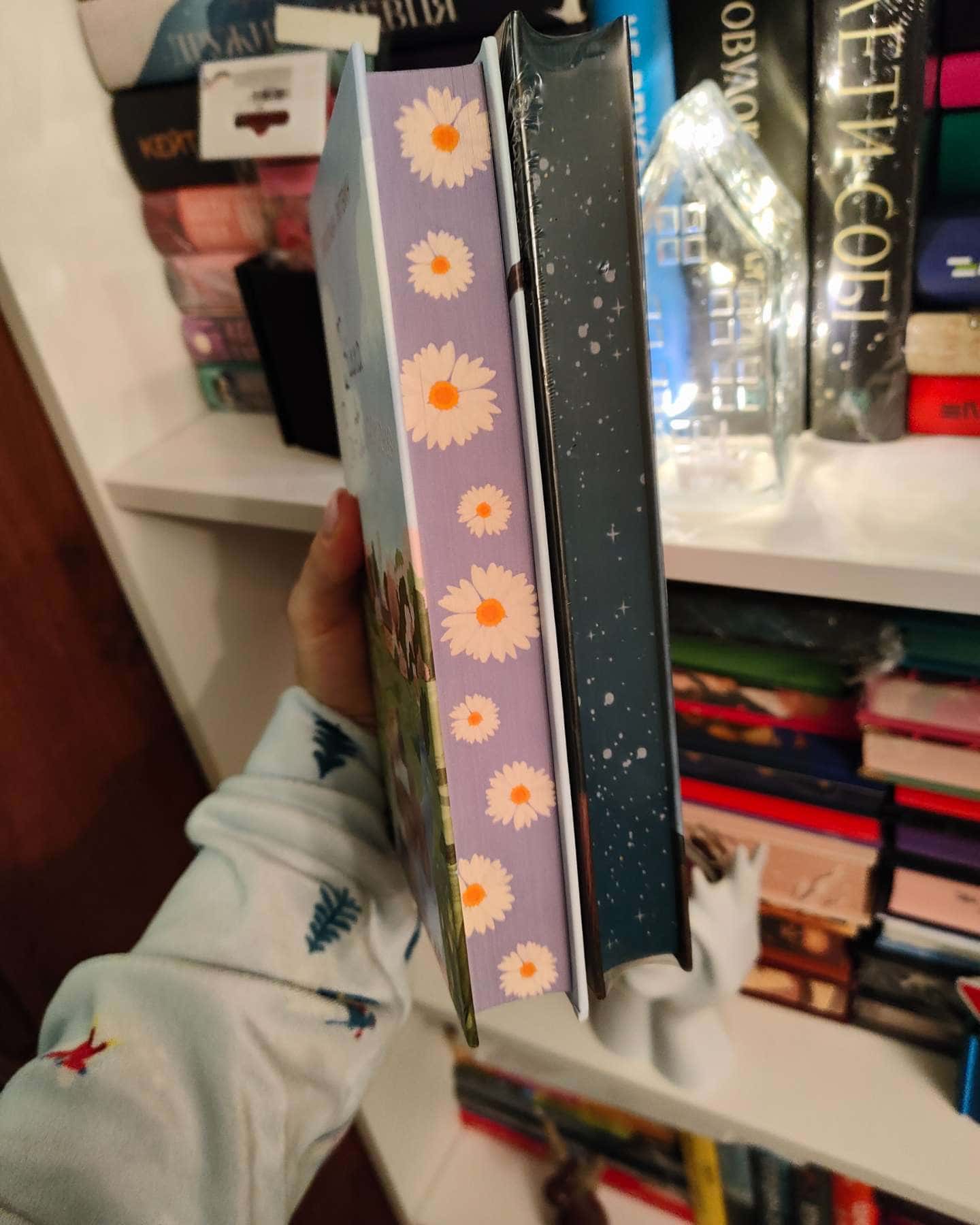 Вілла у Сан-Фурсиско, Хрущі над вишнями-Ярослава Литвин