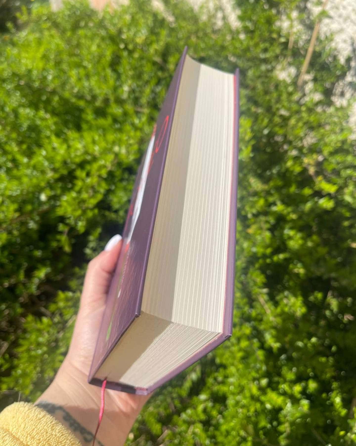 Ромео-Еліз Тайтл