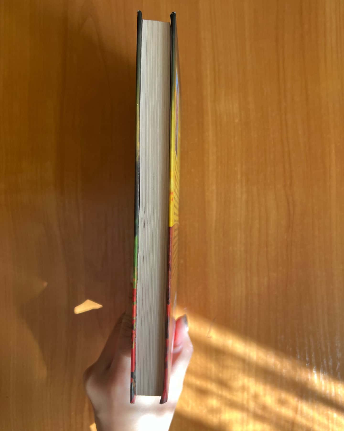 Розколоте небо-Світлана Талан