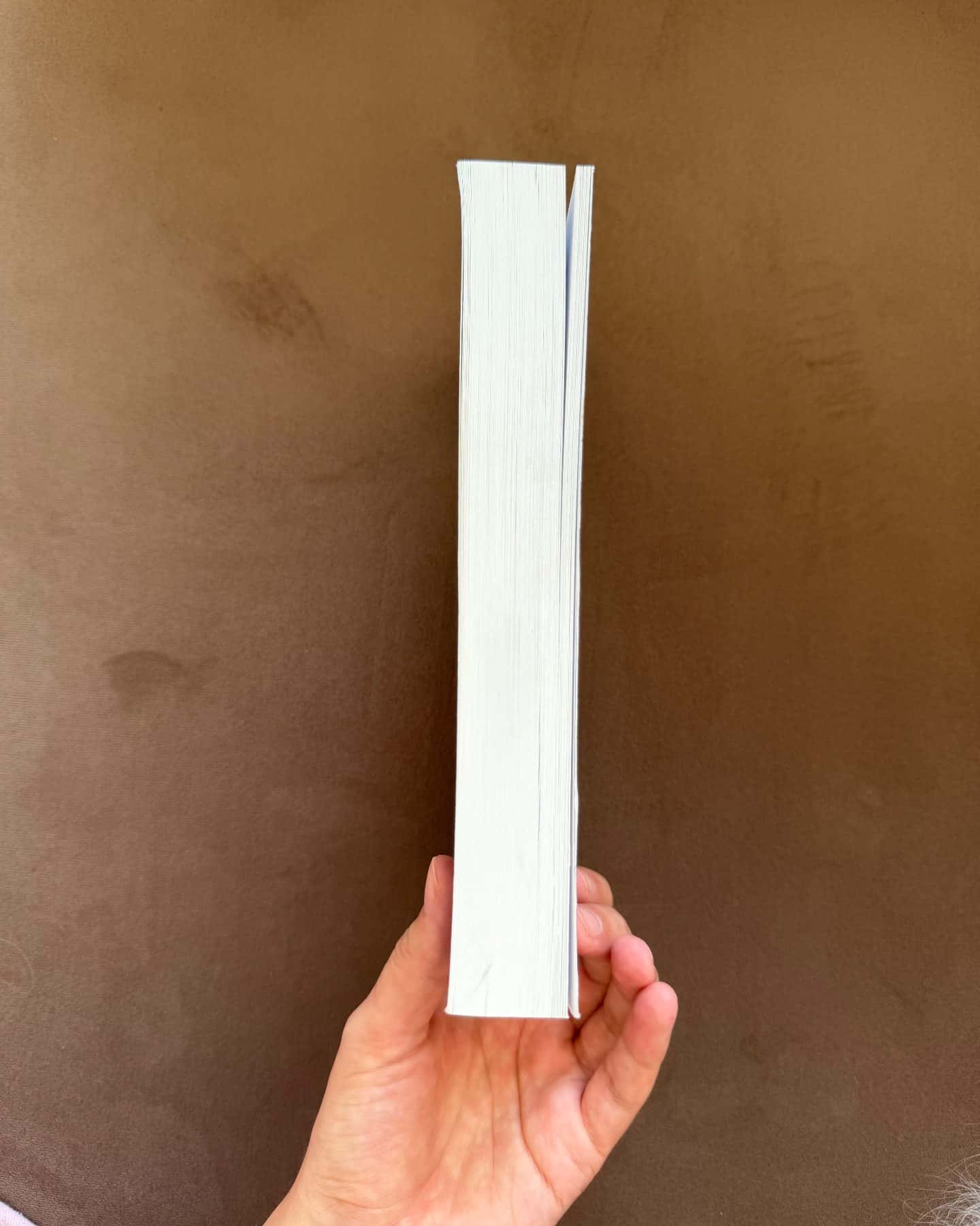 Bride — Ali Hazelwood