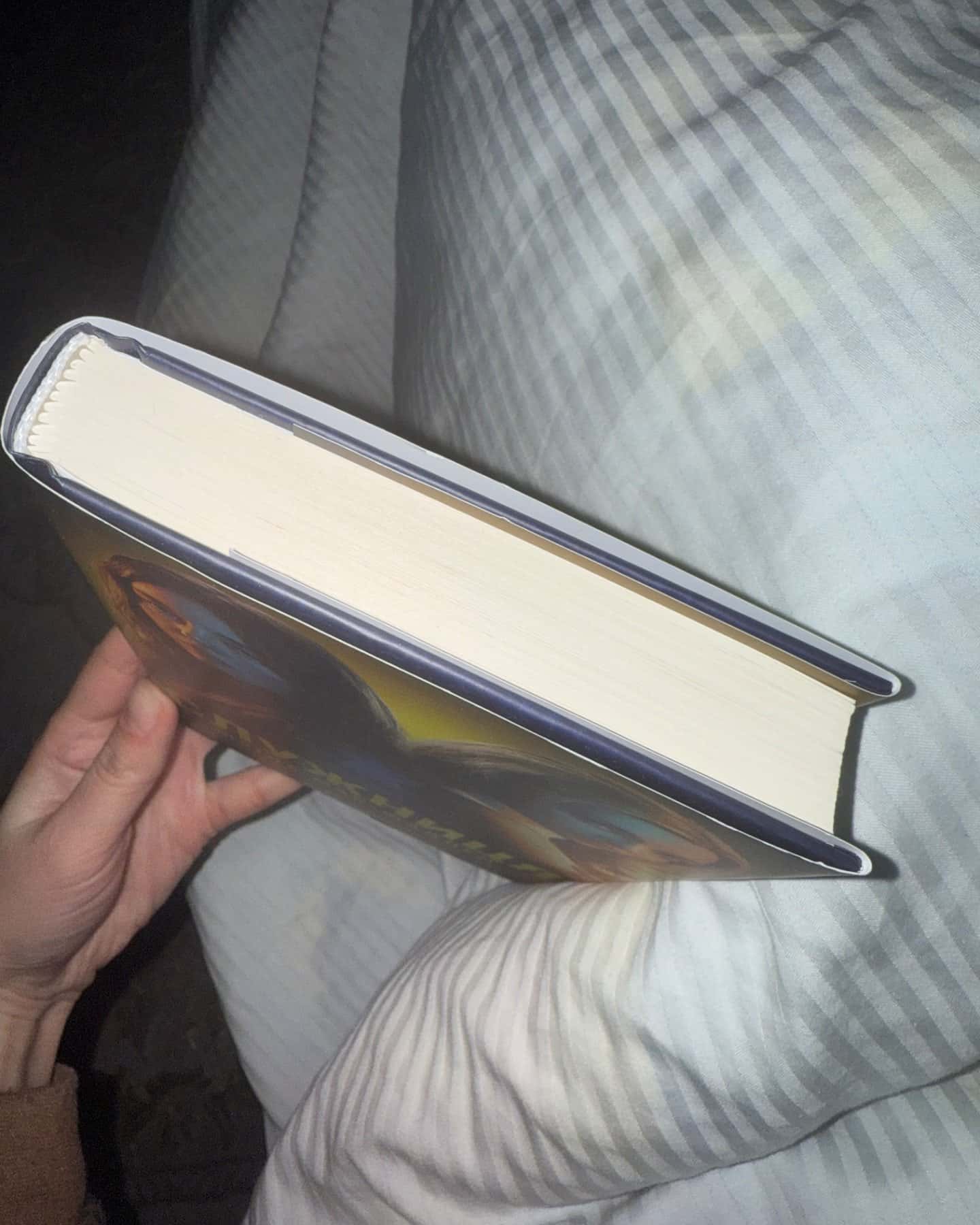 Служниця-Фріда Мак-Фадден