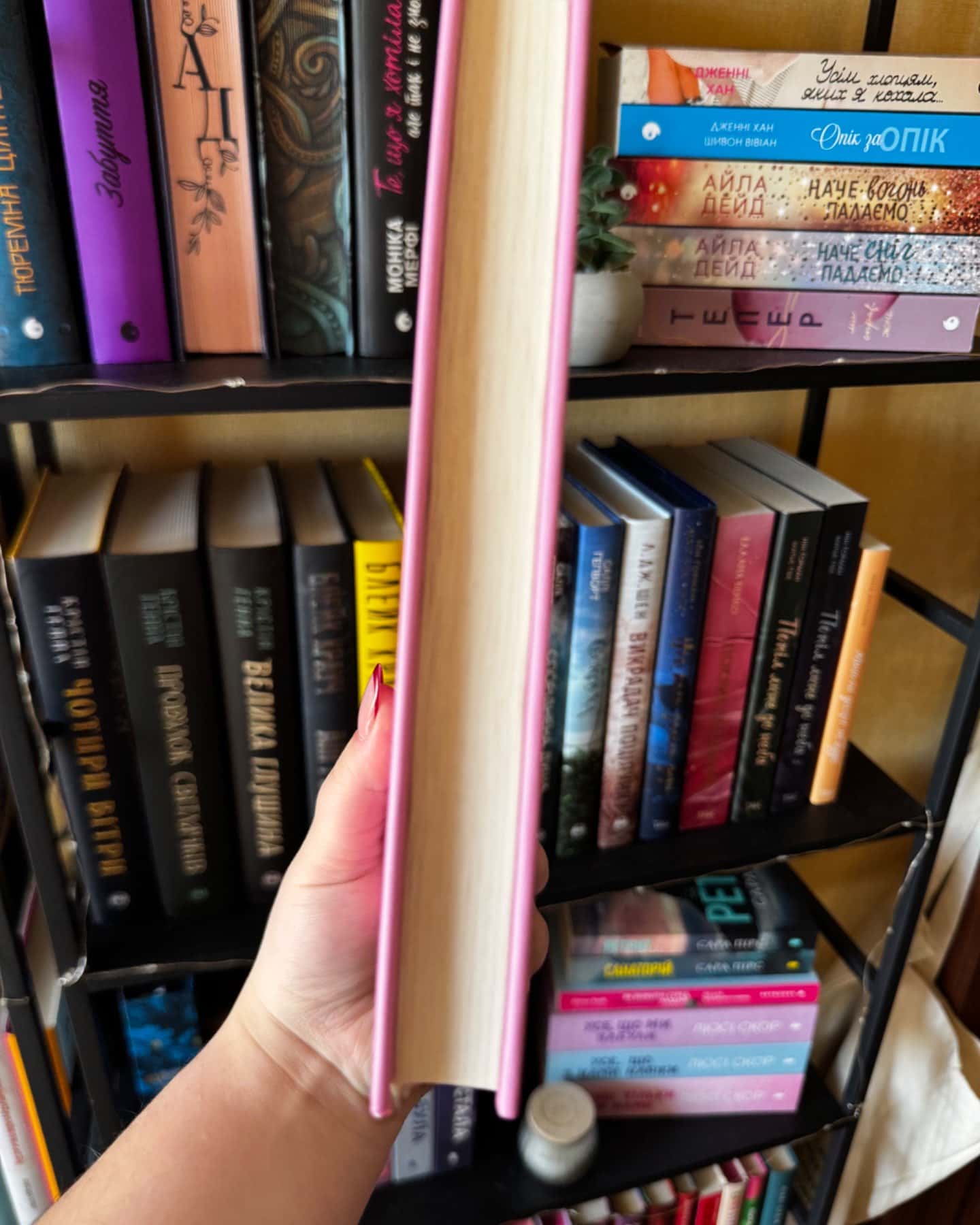 Таємне життя бджіл-Сью Монк Кідд