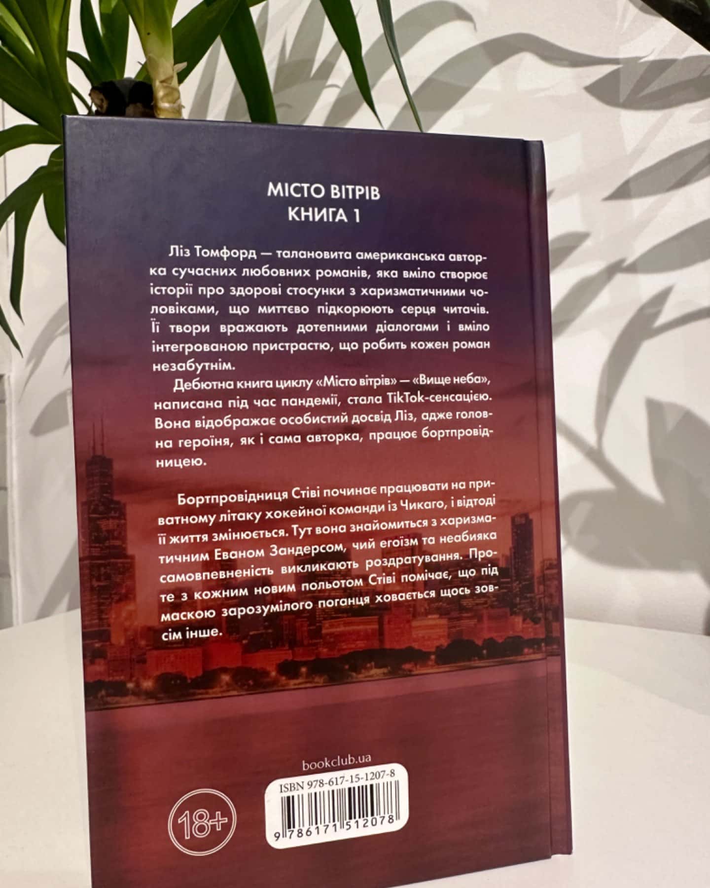 Вище неба. Місто вітрів. Книга 1-Ліз Томфорд