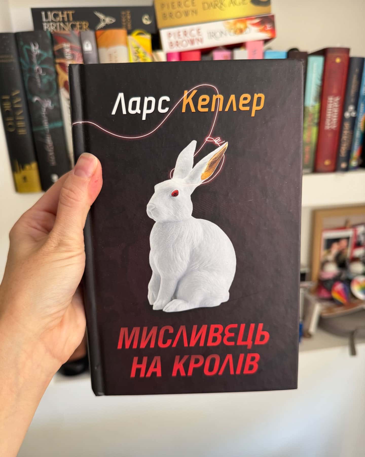 Мисливець на кролів. Книга 6-Ларс Кеплер