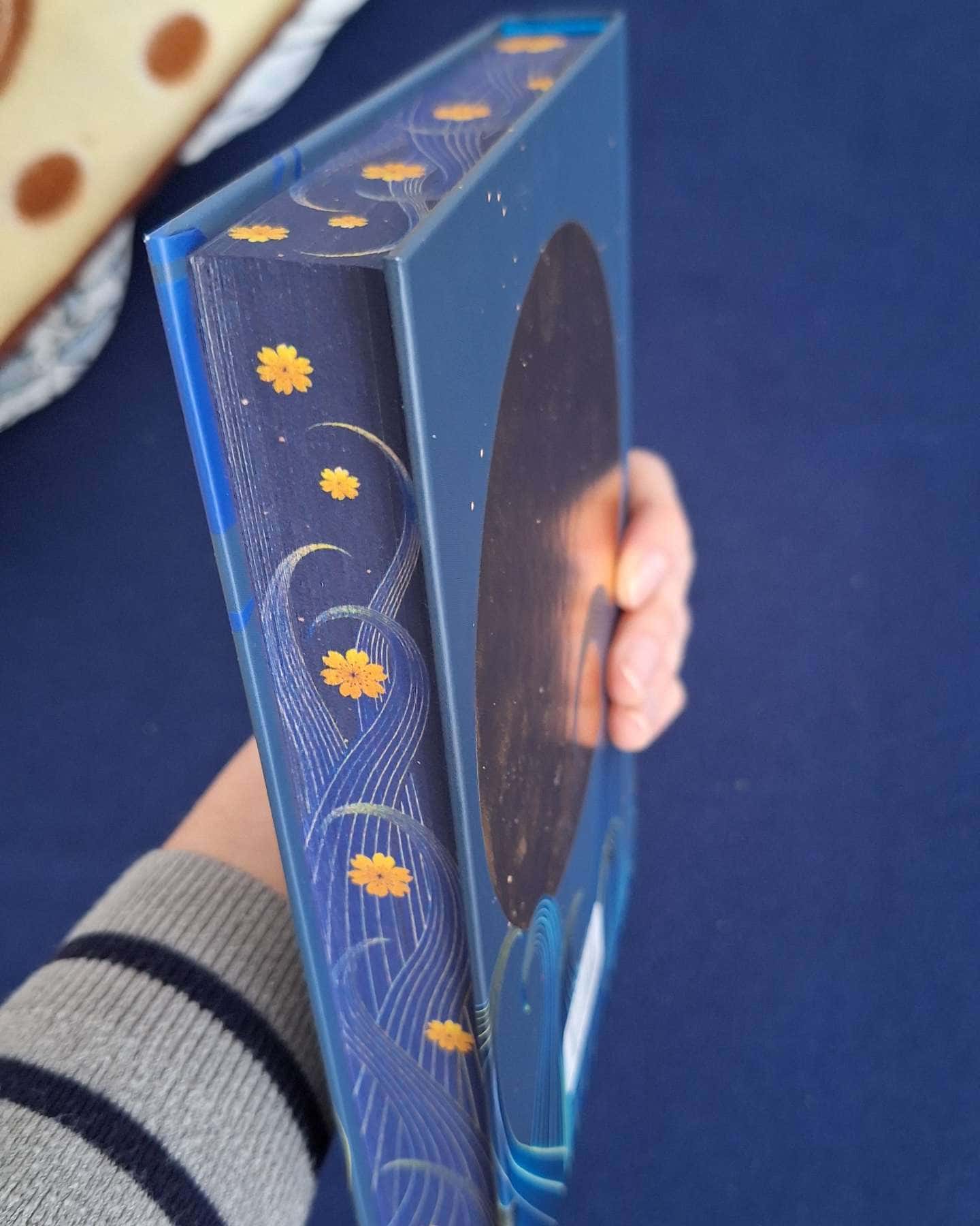 Пісня, що зупиняє ріки-Енн Лян