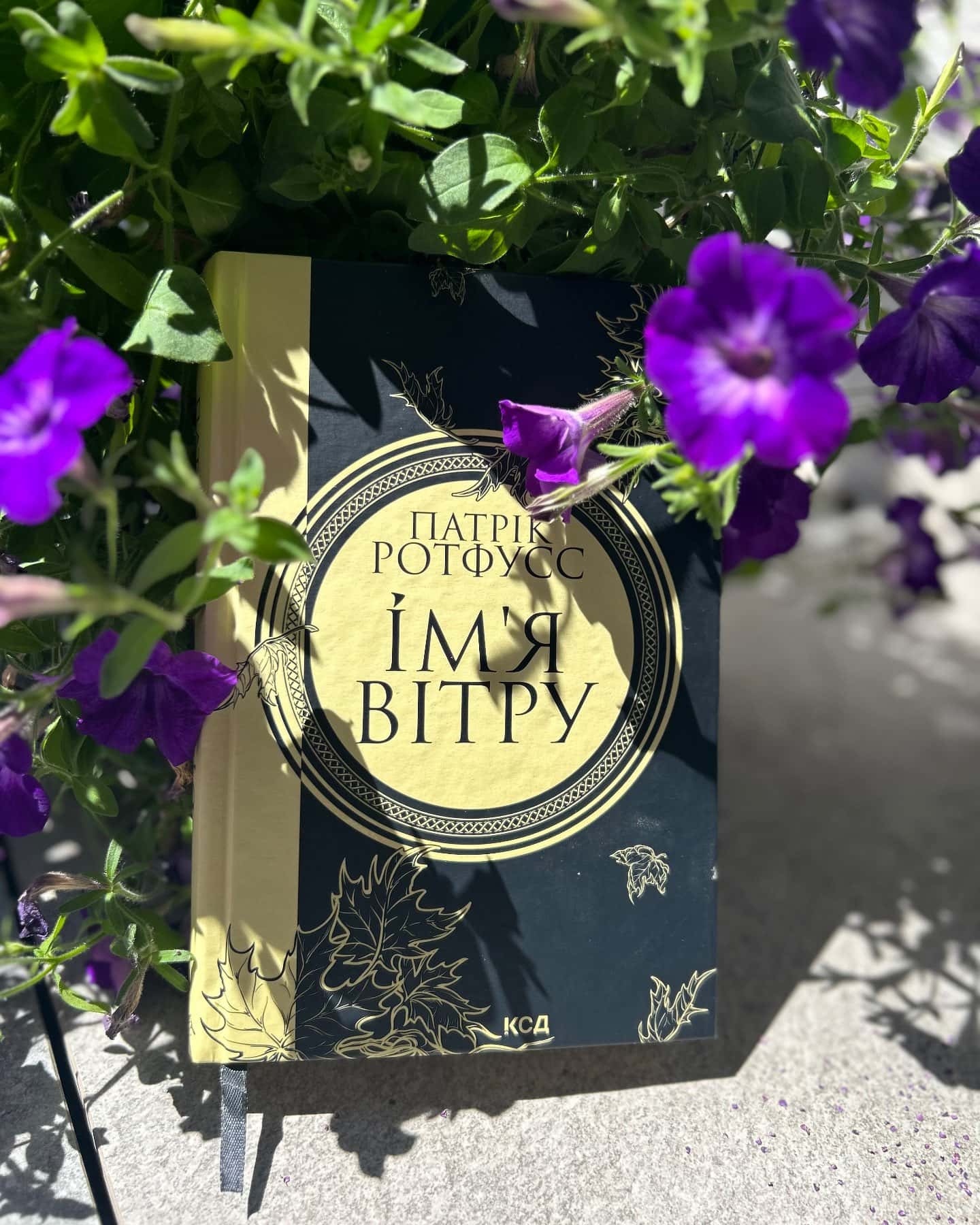 Ім'я вітру. Книга 1-Патрік Ротфусс