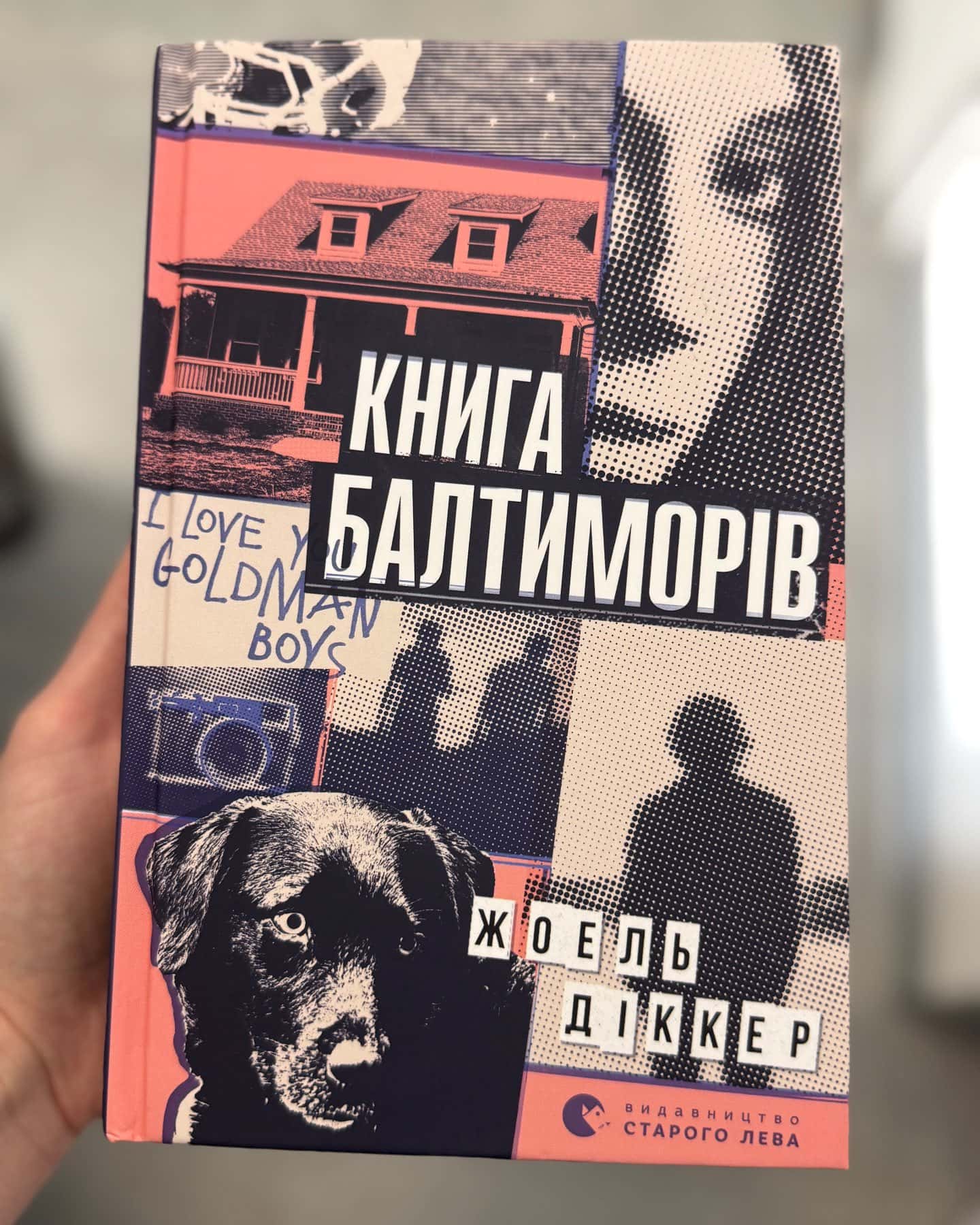 Книга Балтиморів-Жоель Діккер