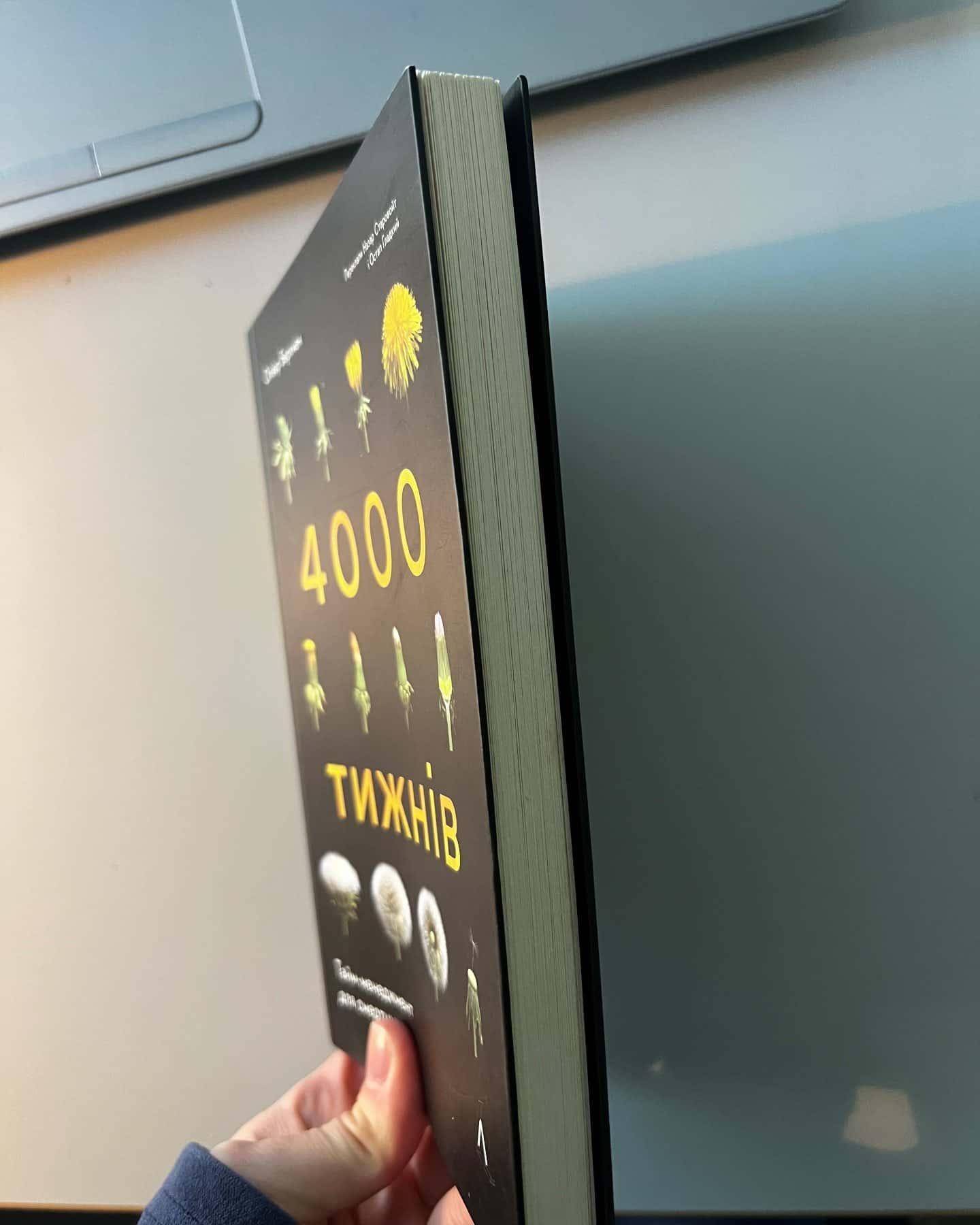 "4000 тижнів"-Олівер Беркмен