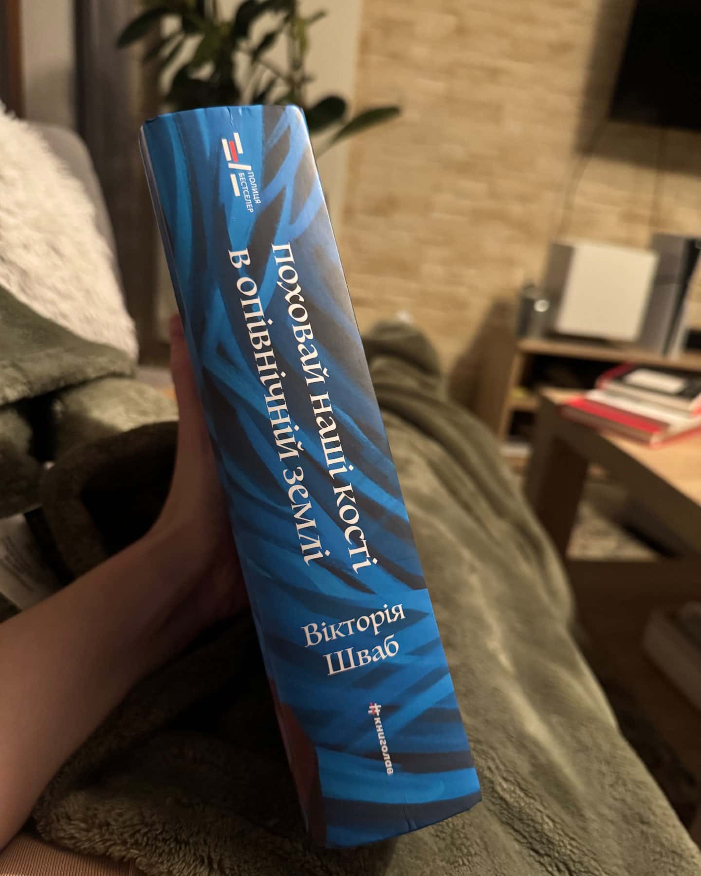 Поховай наші кості в опівнічній землі-Вікторія Шваб