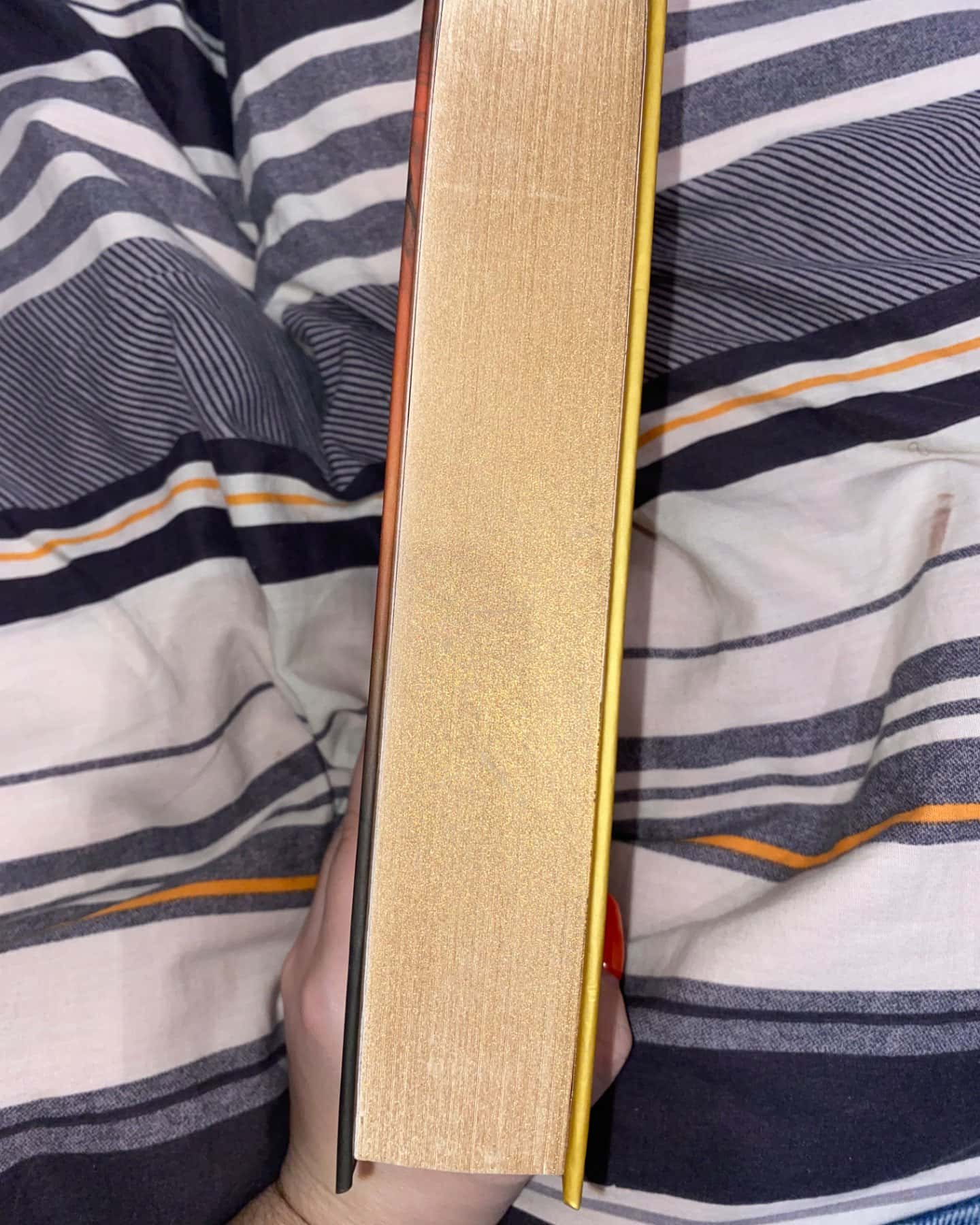 Сім чоловіків Евелін Г'юґо-Тейлор Дженкінс Рід