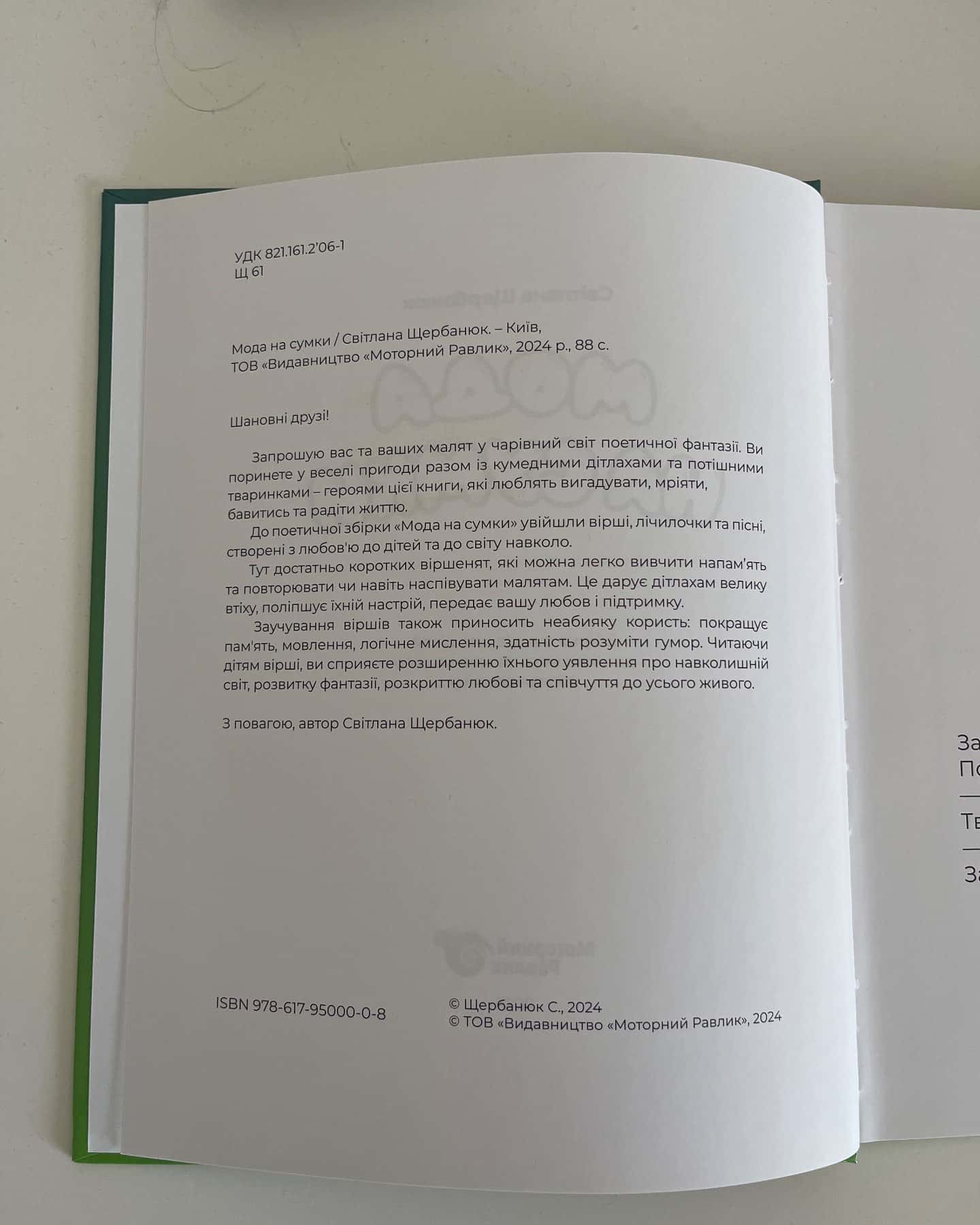 Мода на сумки — Світлана Щербанюк