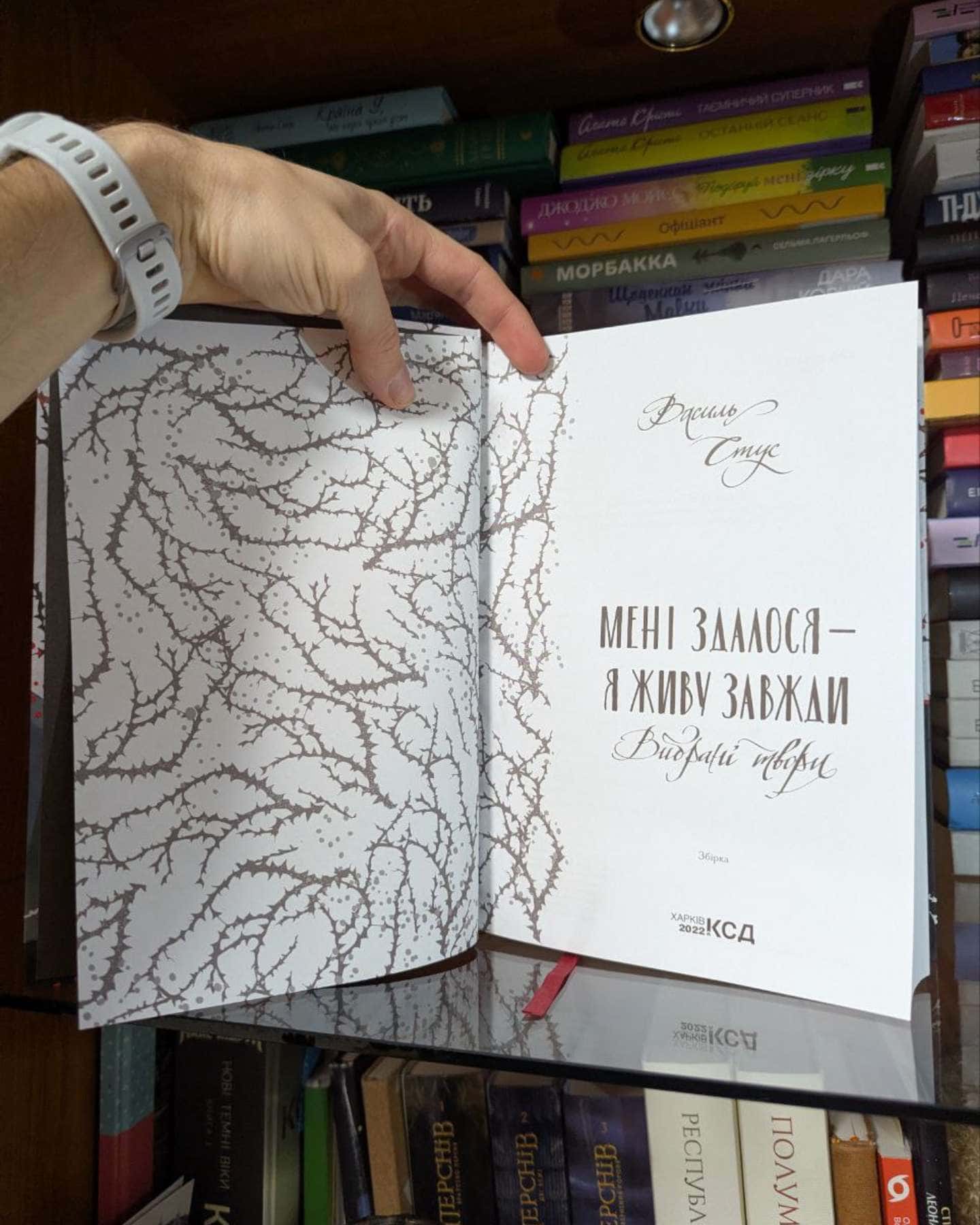 Мені здалося - я живу завжди. Вибрані твори-Василь Стус