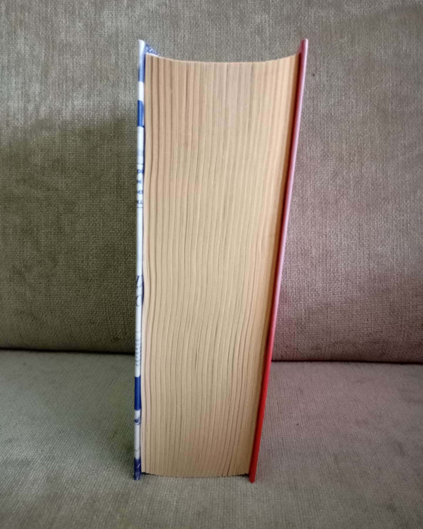 Зникнення Стефані Мейлер-Жоель Діккер