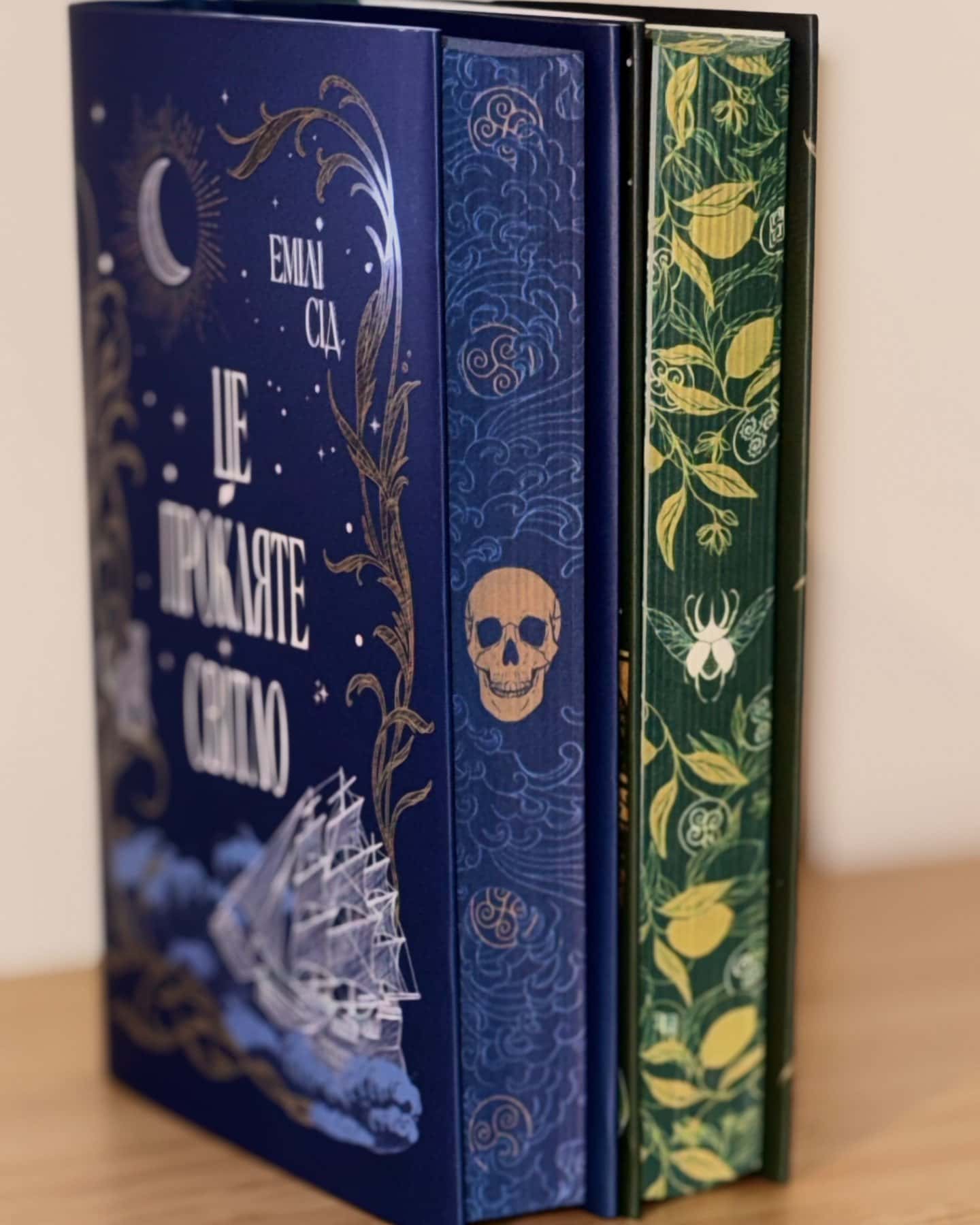 Це безжальне благословення, Це прокляте світло-Емілі Сід