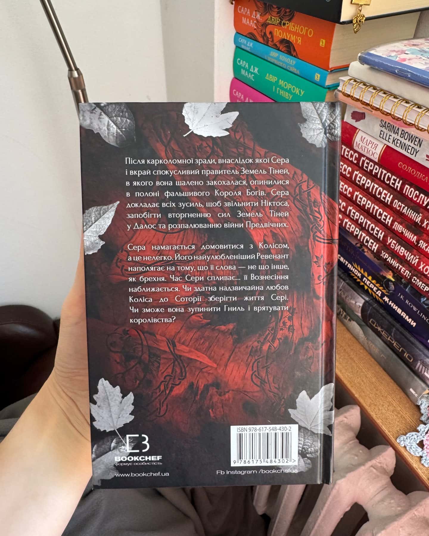 Плоть і вогонь. Книга 3. Вогонь у плоті — Дженніфер Л. Арментраут