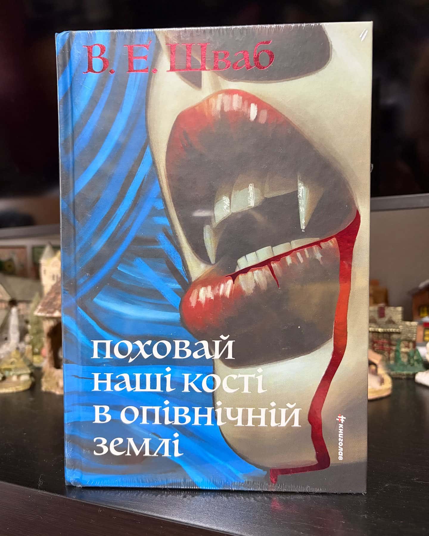 Поховай наші кості в опівнічній землі — Вікторія Шваб