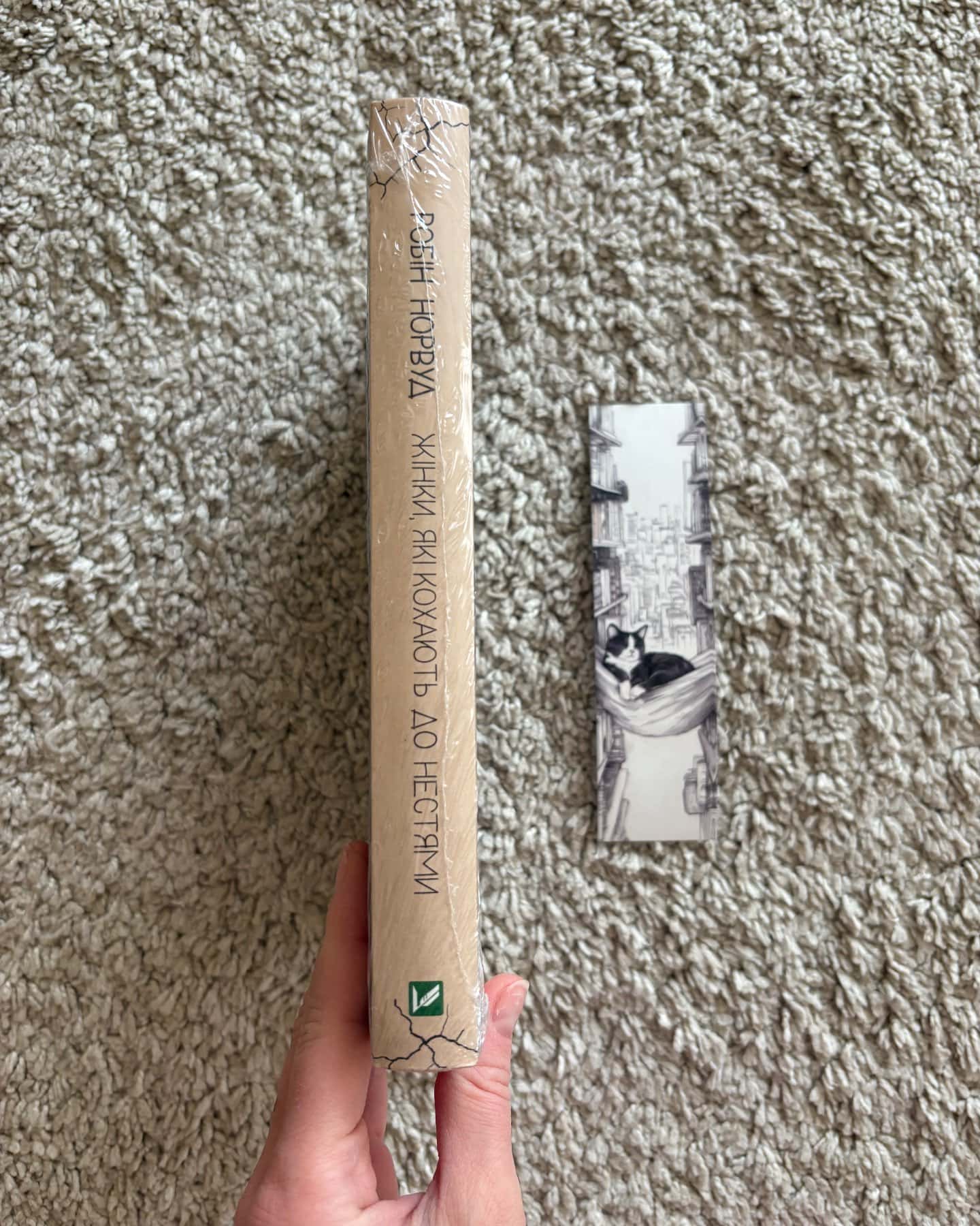 Жінки, які кохають до нестями-Робін Норвуд