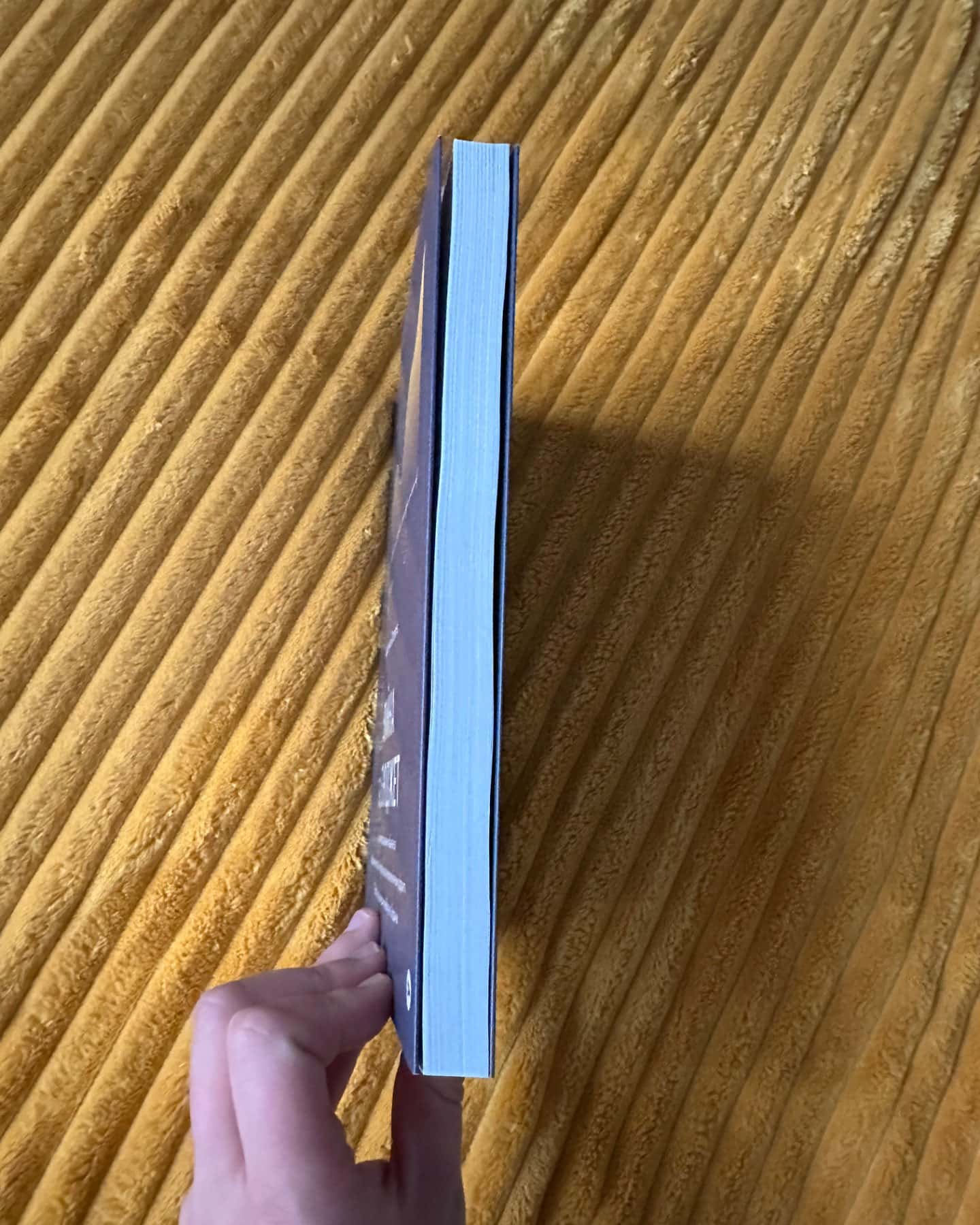 Війна та бюджет-Любомир Остапів