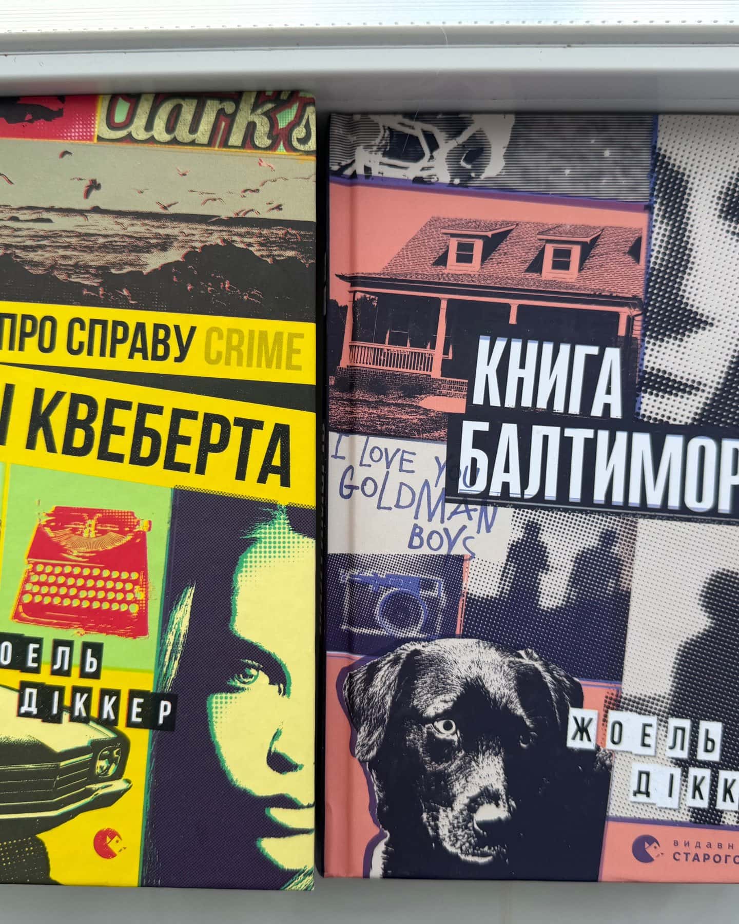 Правда про справу Гаррі Квеберта, Книга Балтиморів — Жоель Діккер