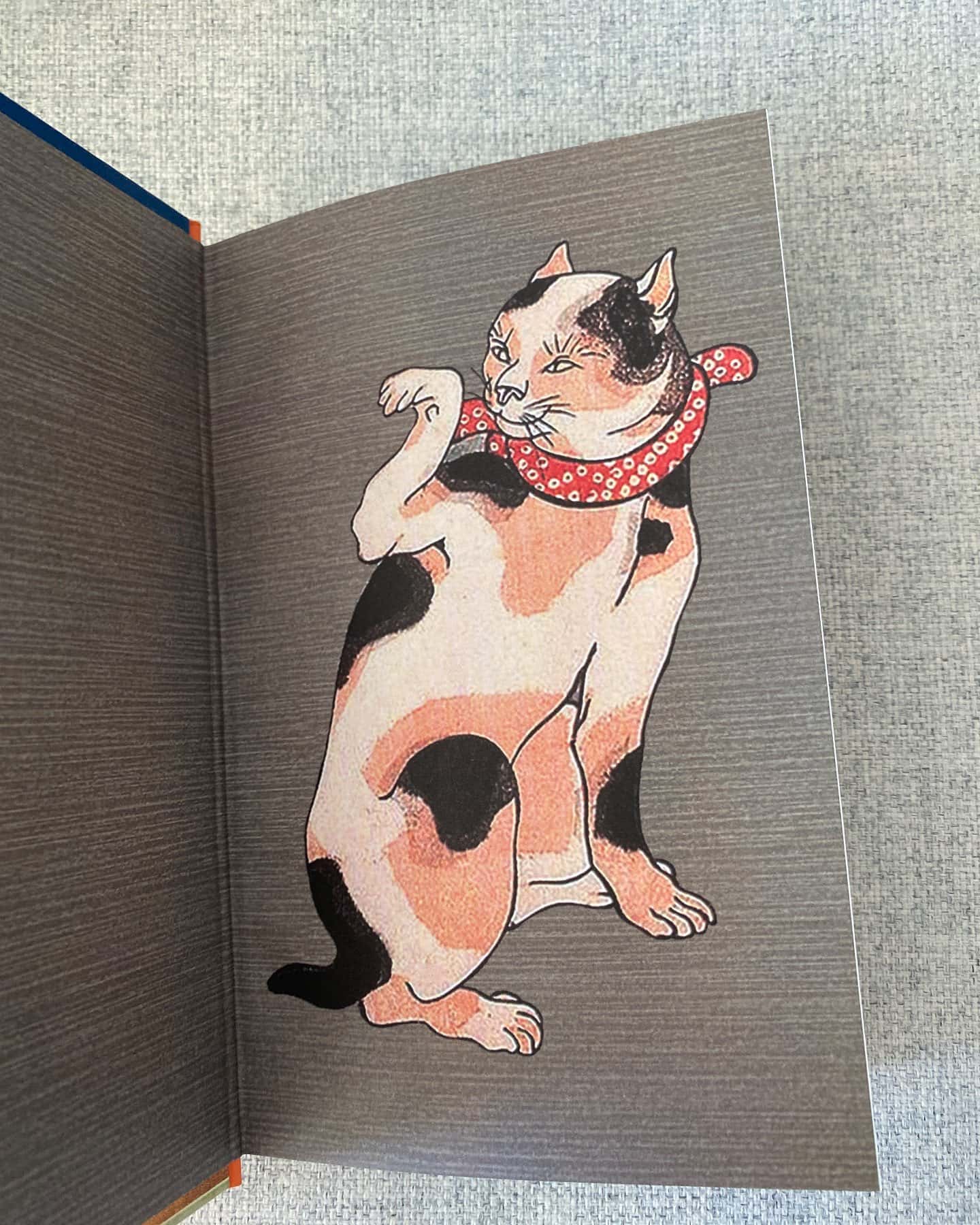 Ваш покірний слуга кіт-Нацуме Сосекі