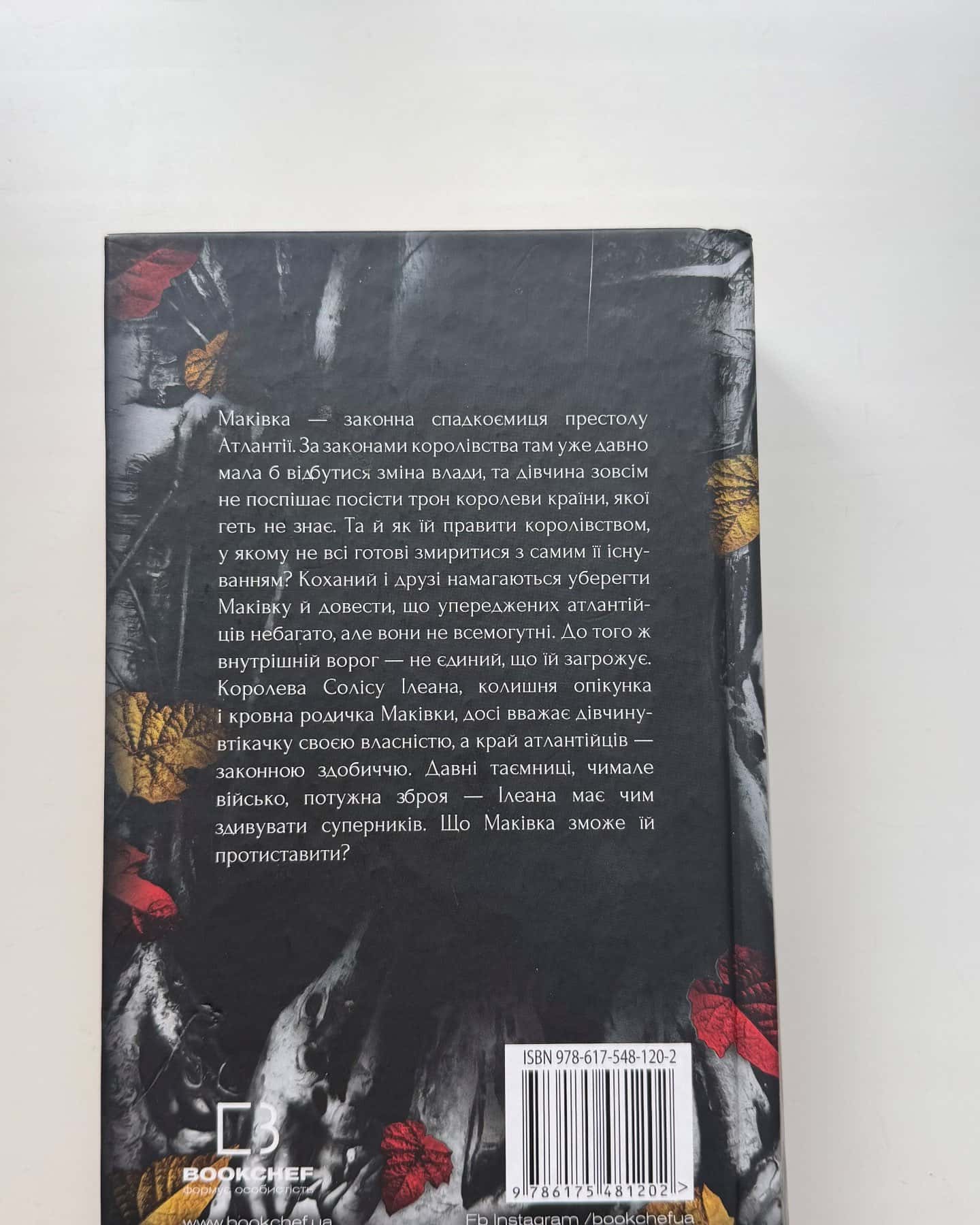 Кров і попіл. Книга 3. Корона з позолочених кісток-Дженніфер Л. Арментраут