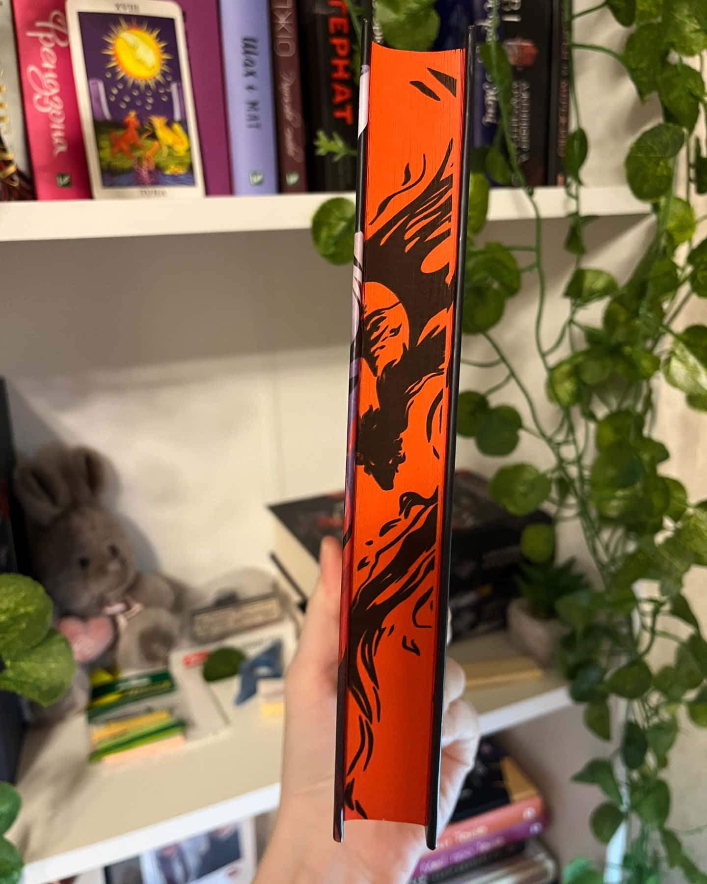 Діва проти біди-Евелін Скай