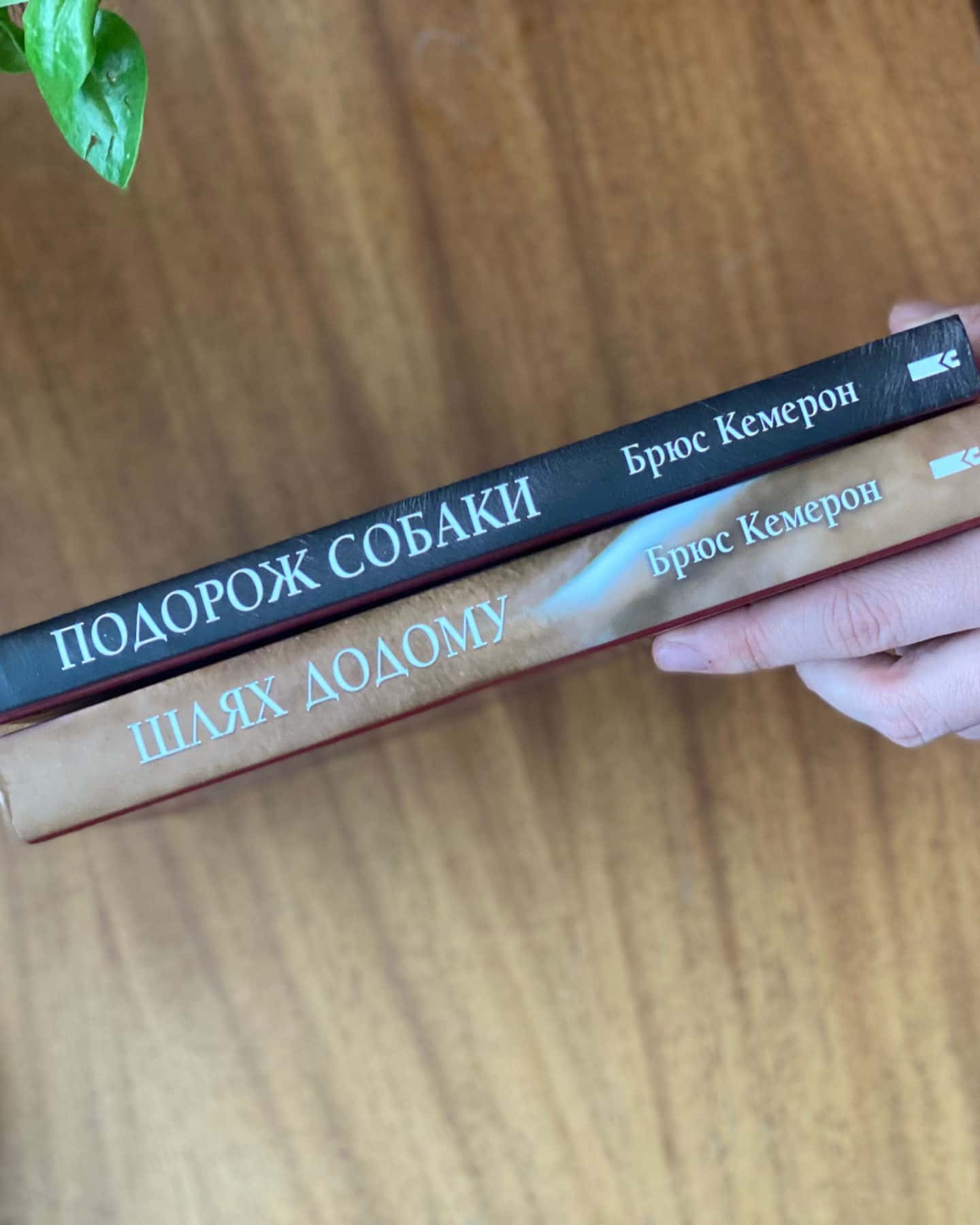 Подорож собаки і Шлях додому-Брюс Кемерон