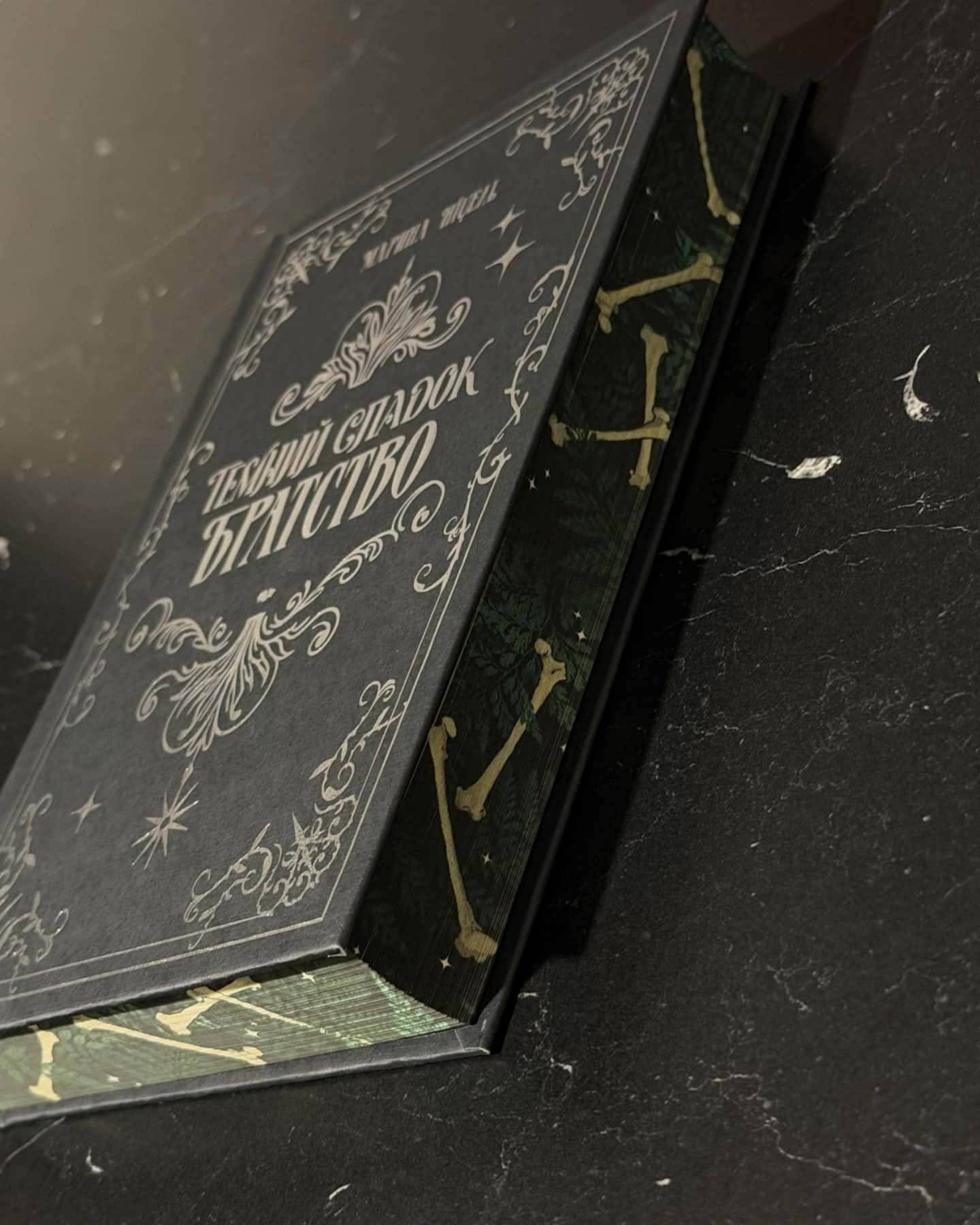 Темний спадок. Братство. Книга 1-Марина Ніцель