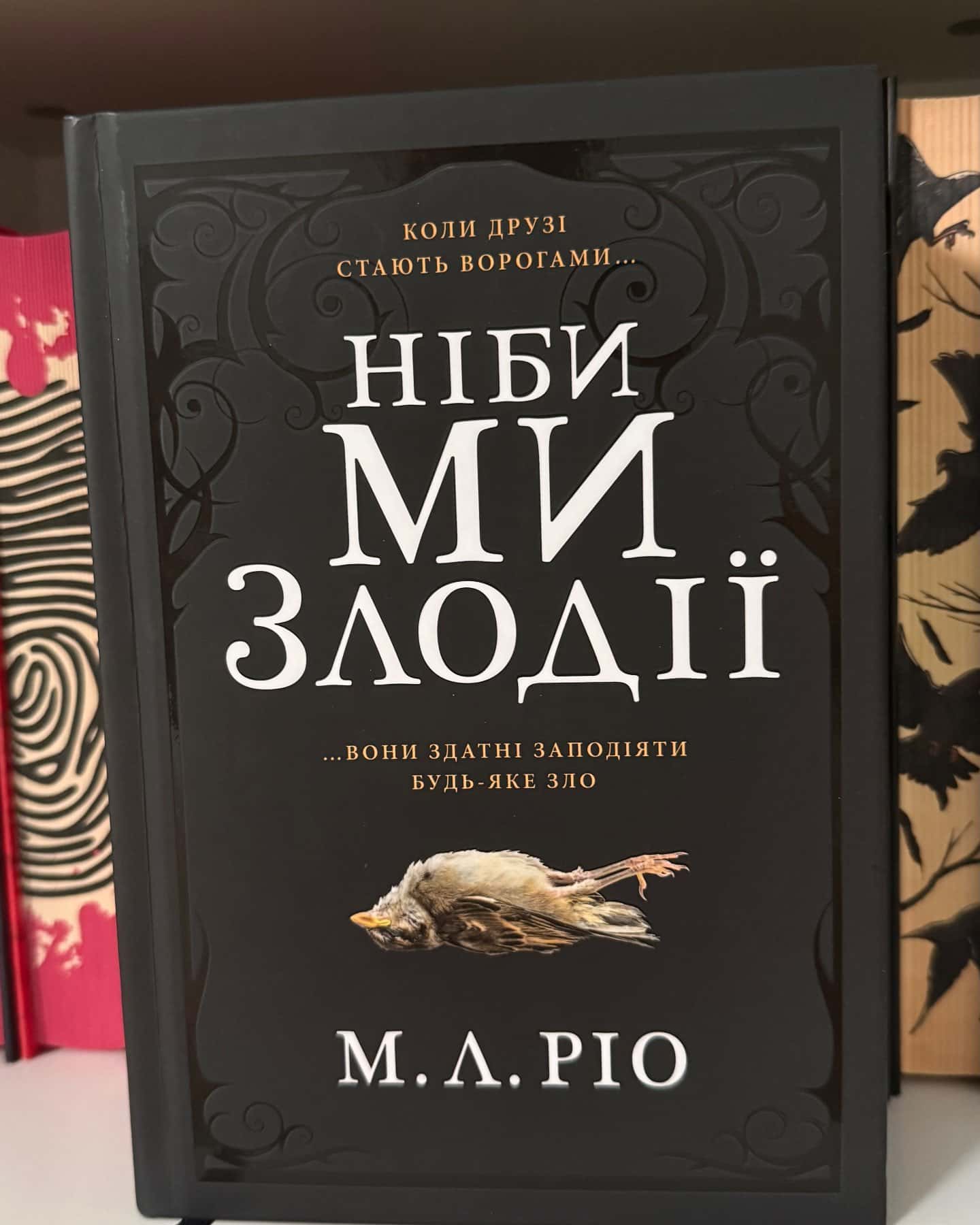 Ніби ми злодії — М. Л. Ріо
